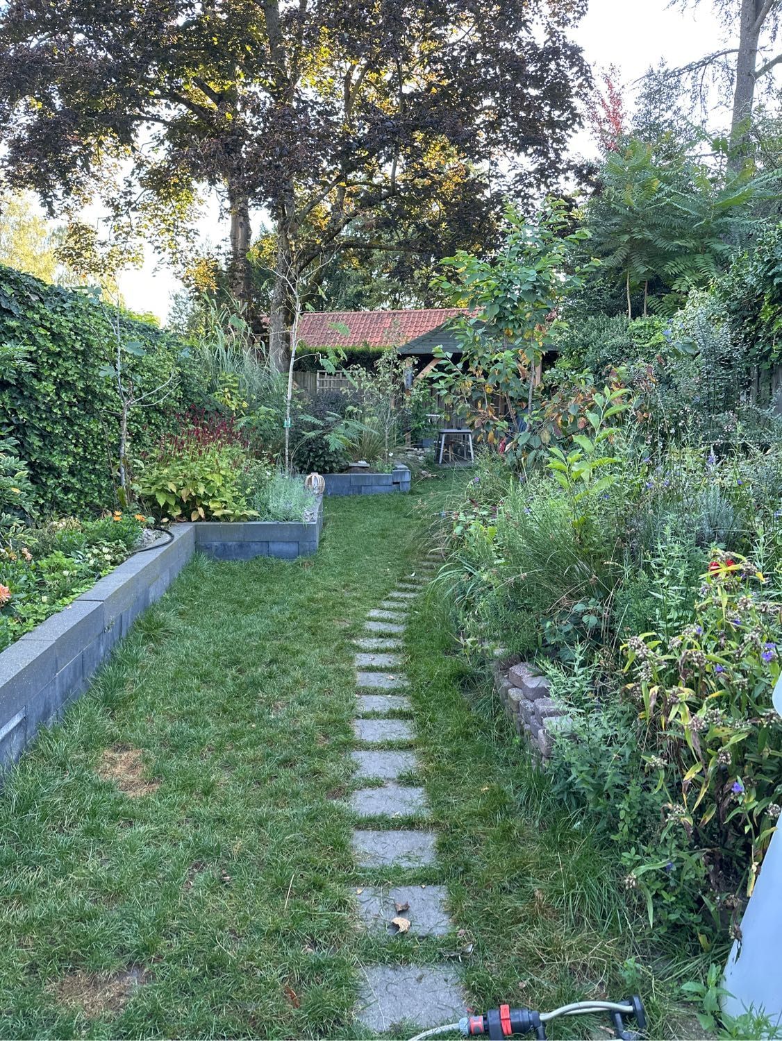 image-9