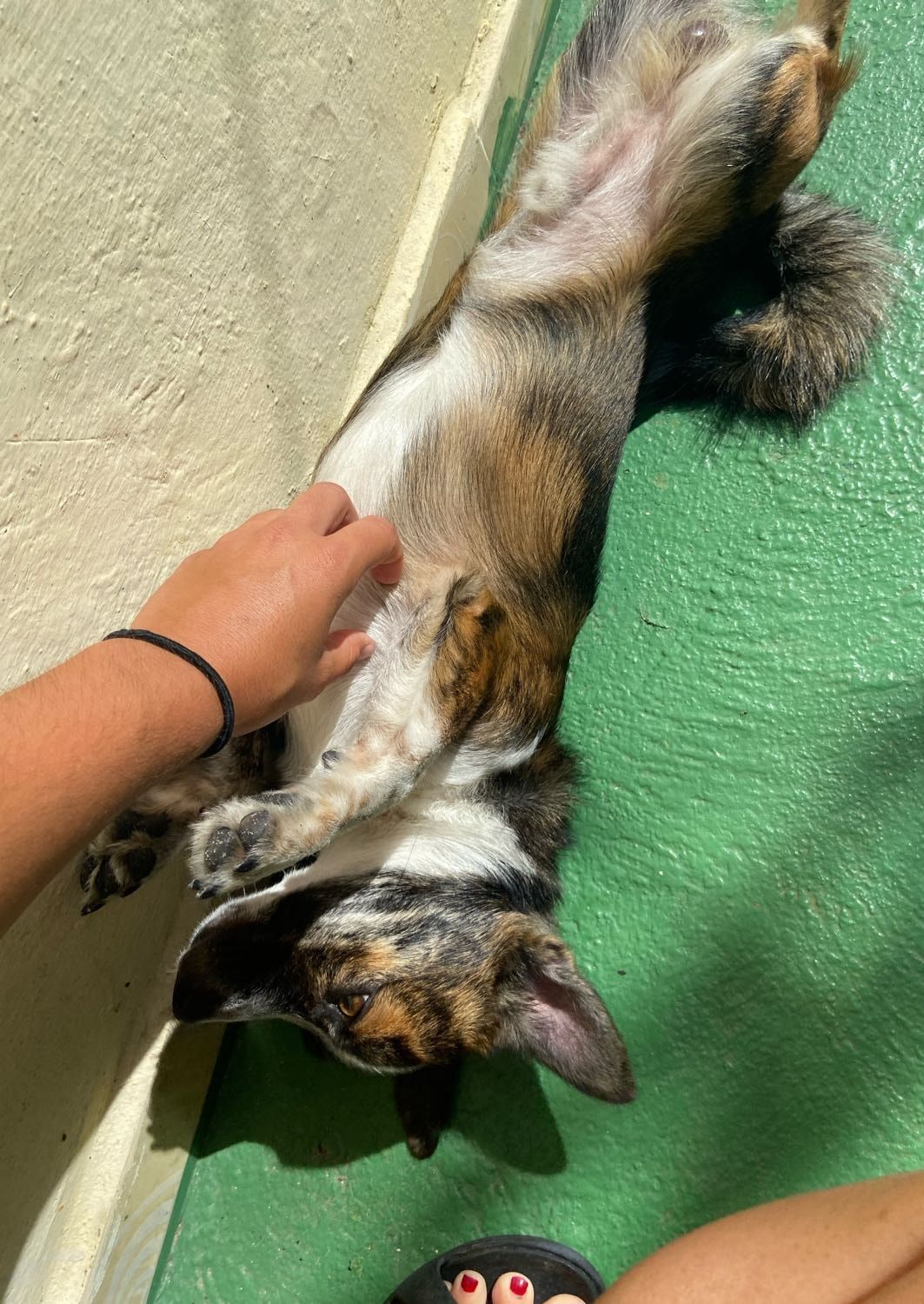 image-8