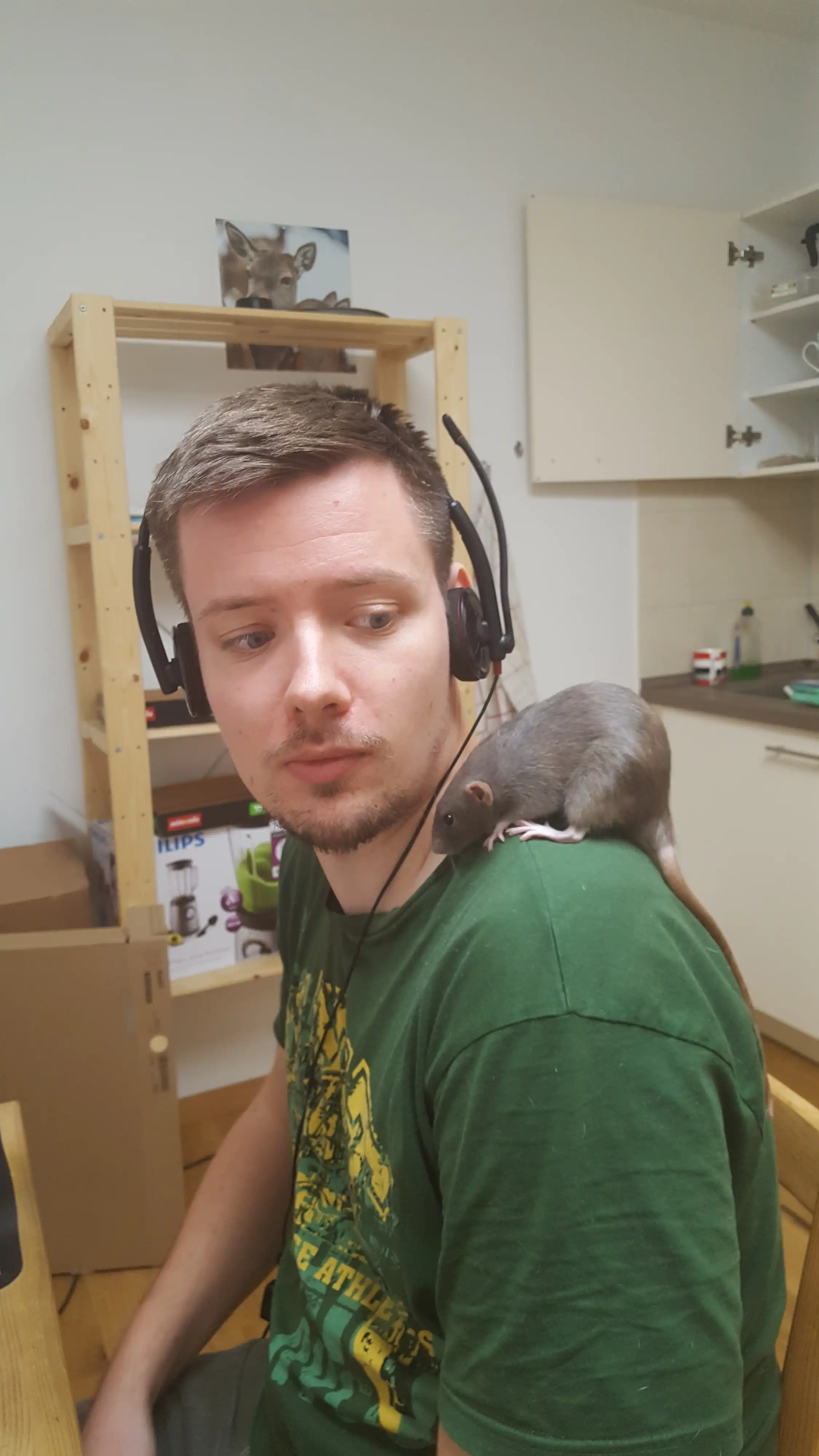 image-6