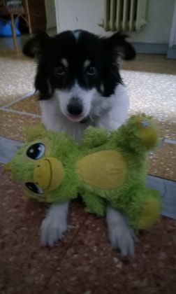 image-5