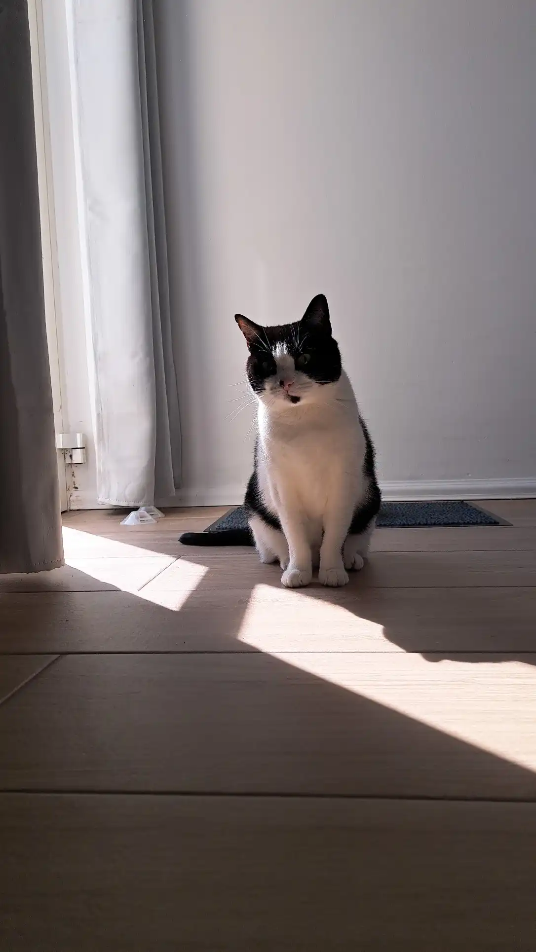image-16
