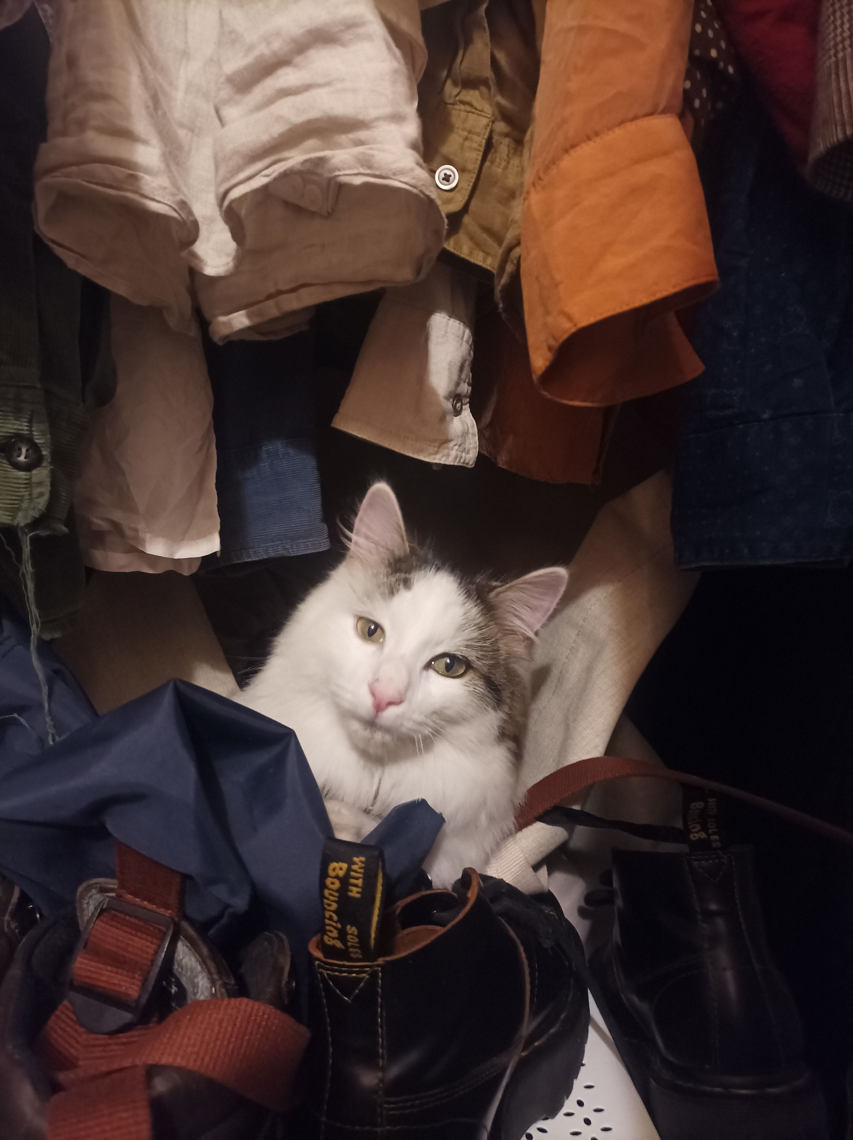 image-6