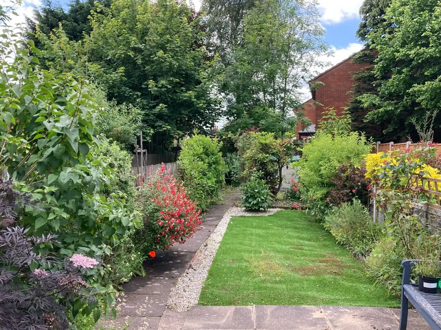 image-11