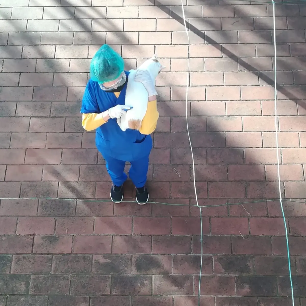 image-2