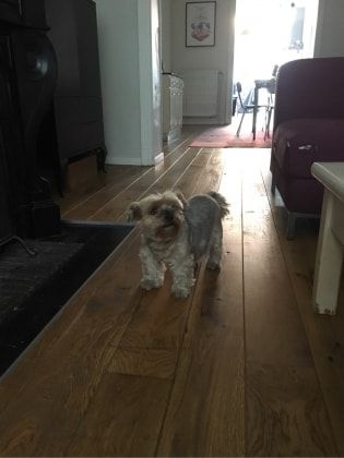 image-13