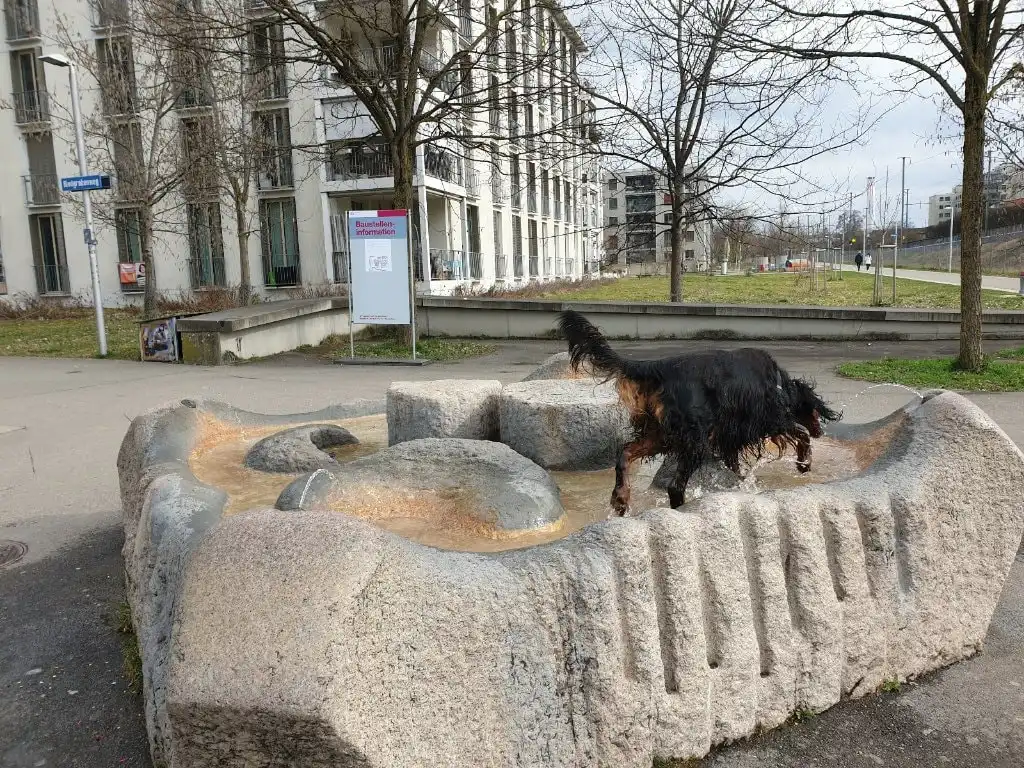 image-69