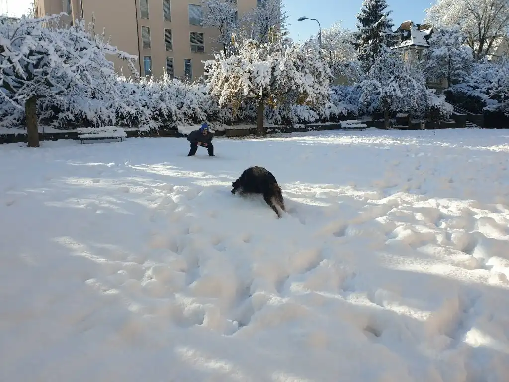 image-64