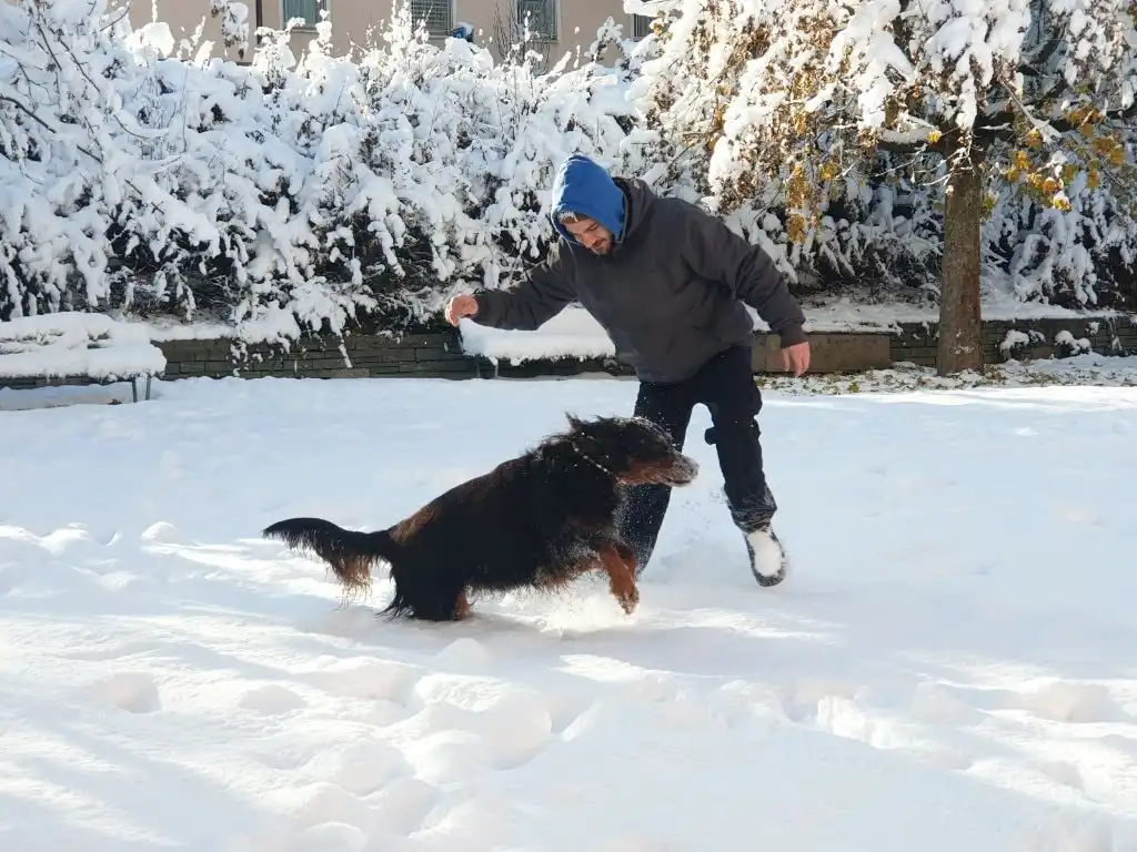 image-67