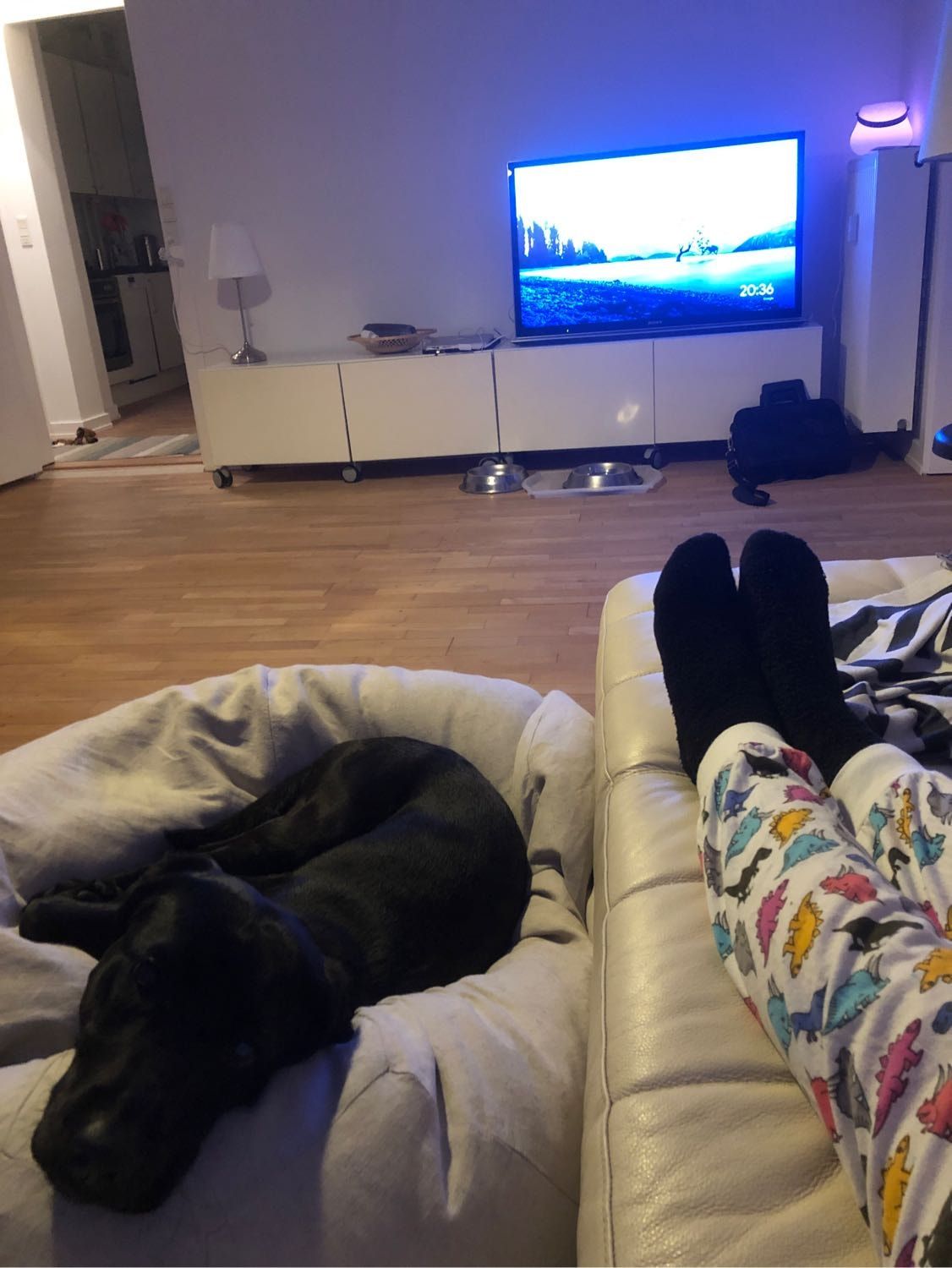 image-8