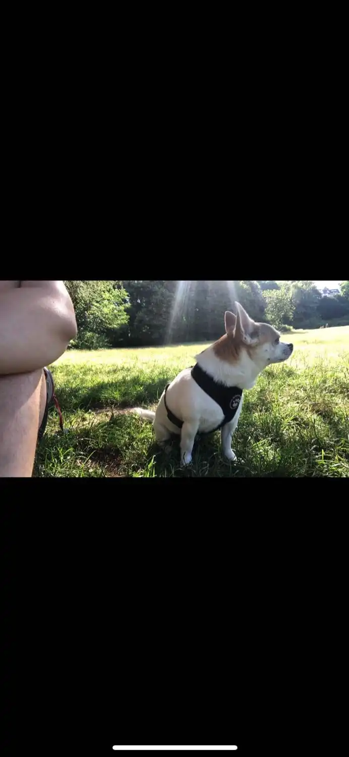 image-16
