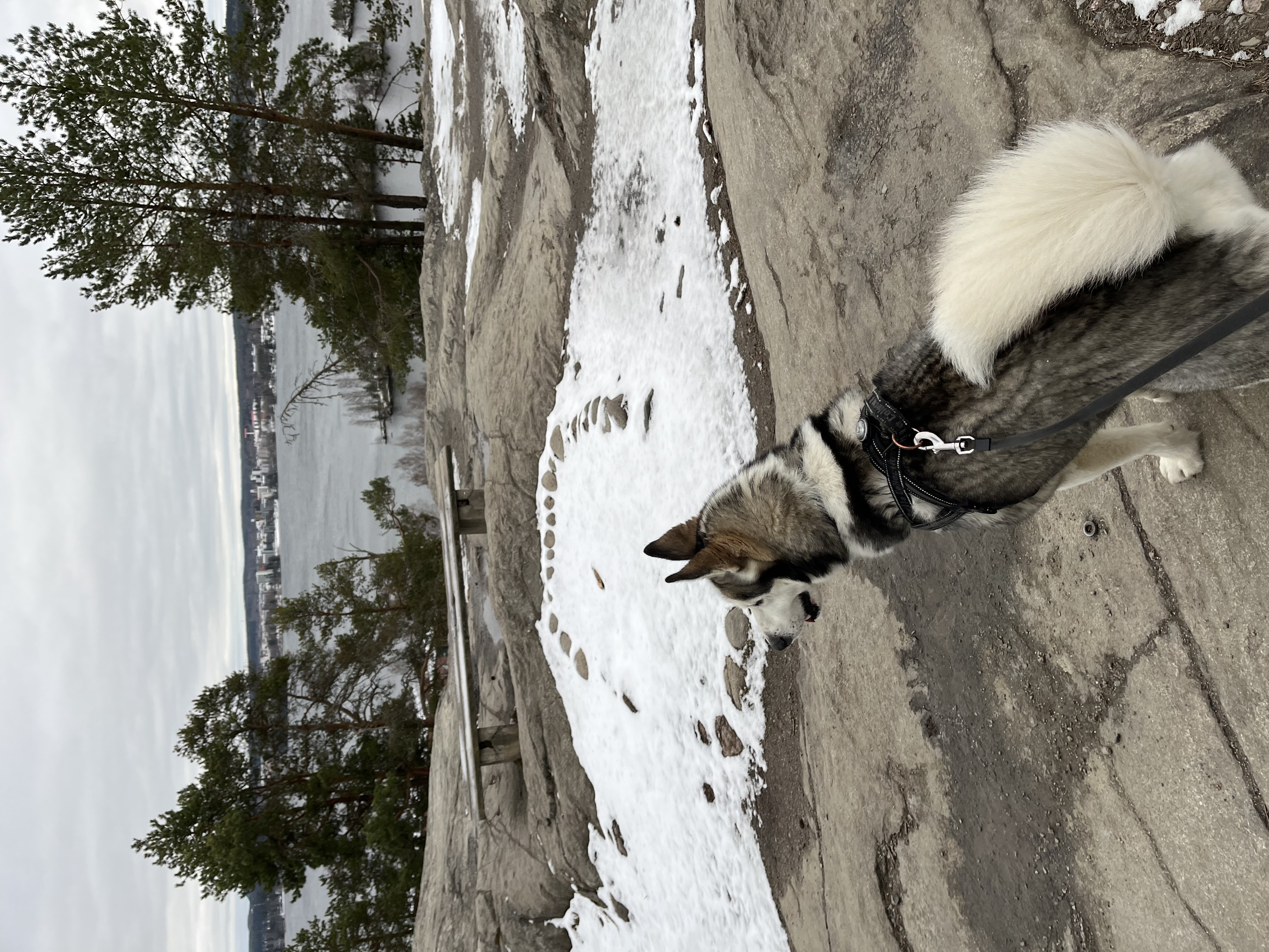 image-12