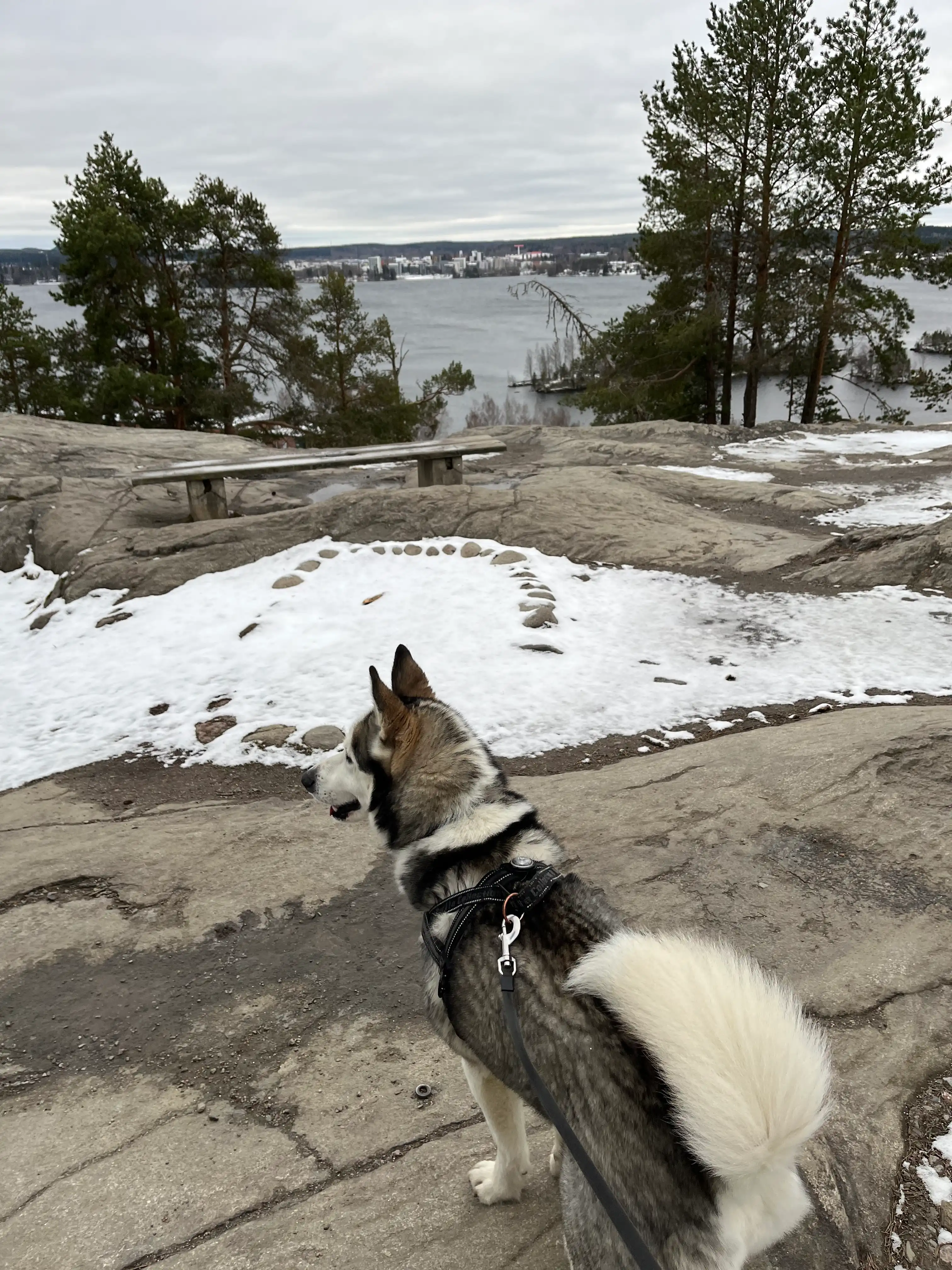 image-12