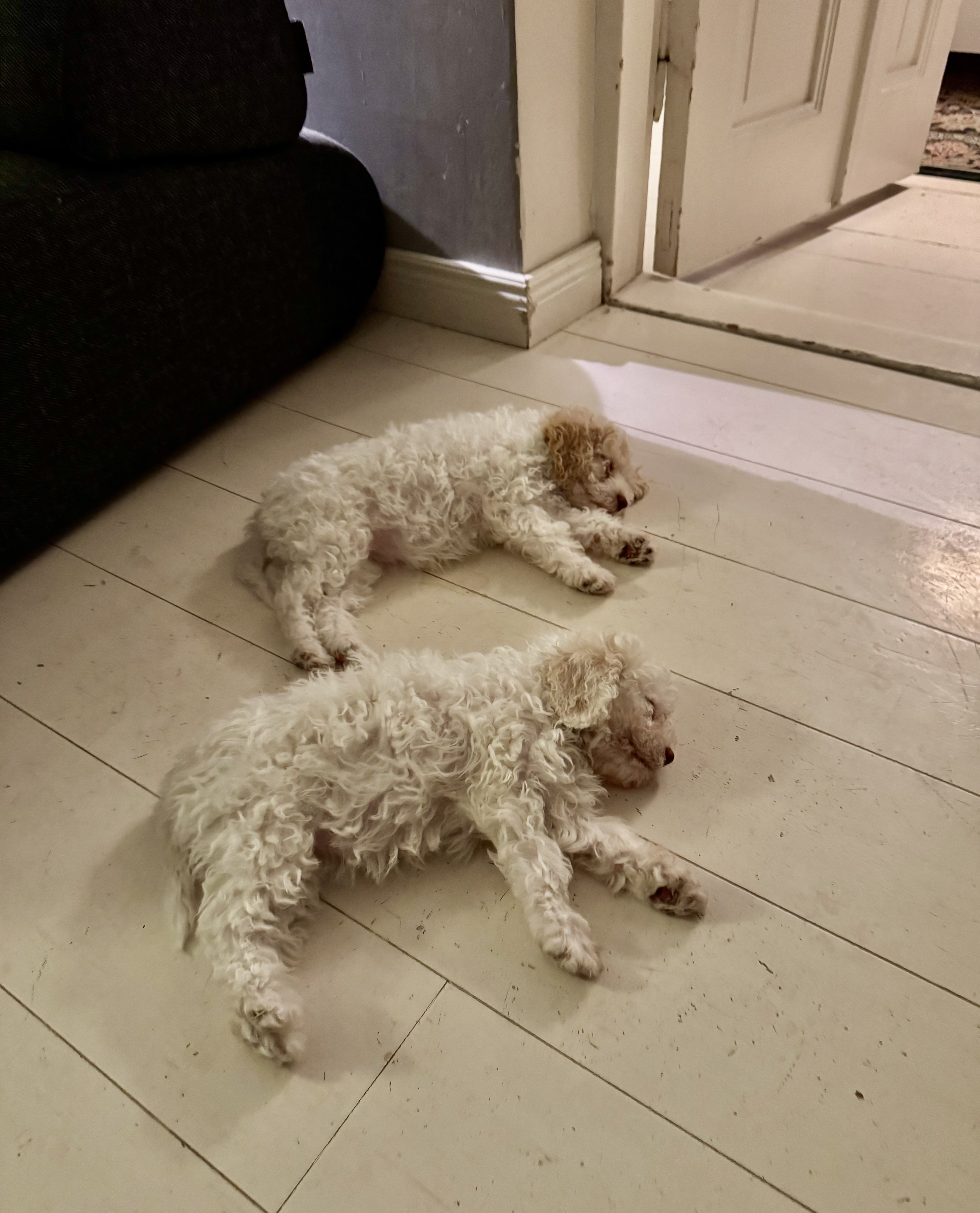 image-18