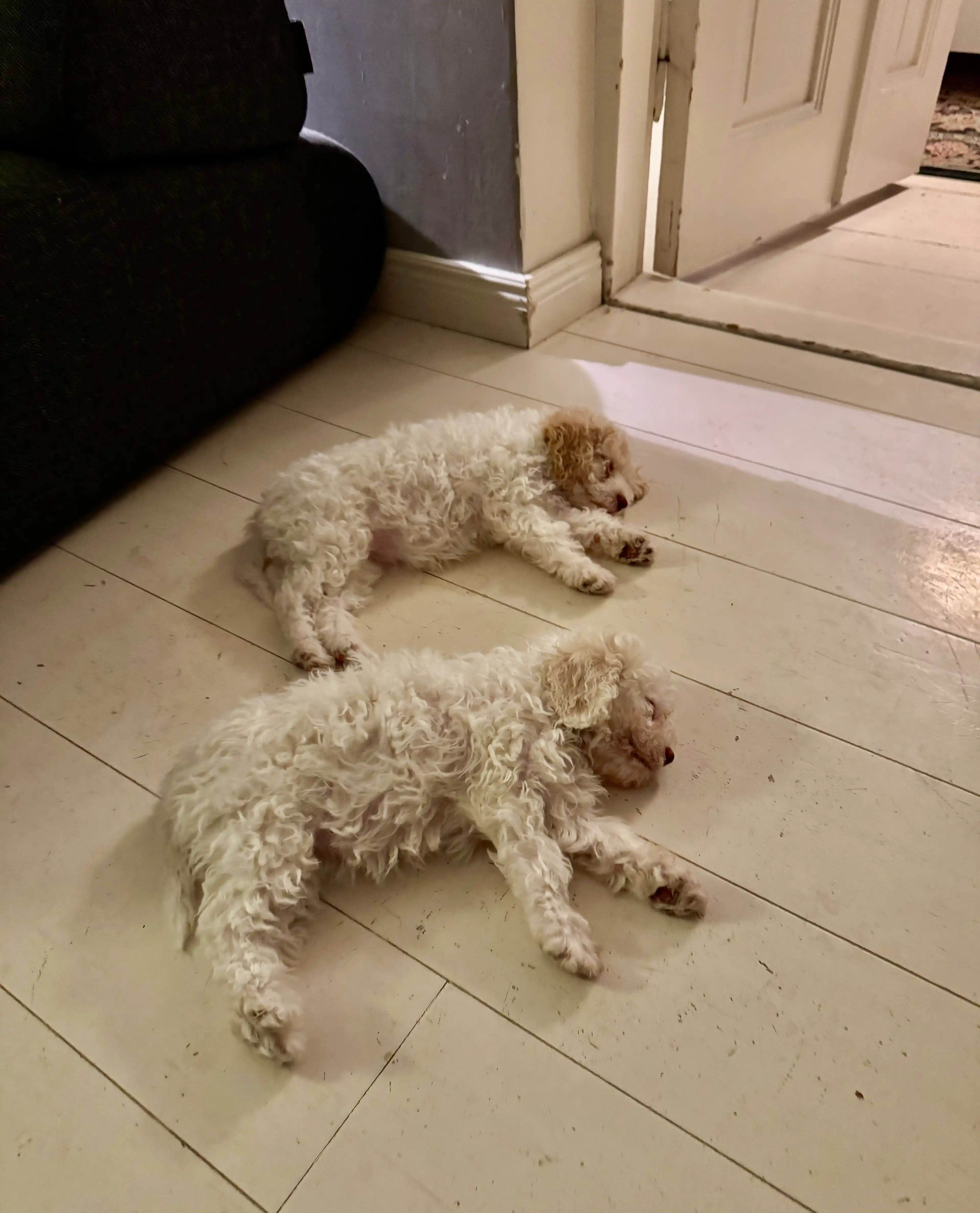 image-18