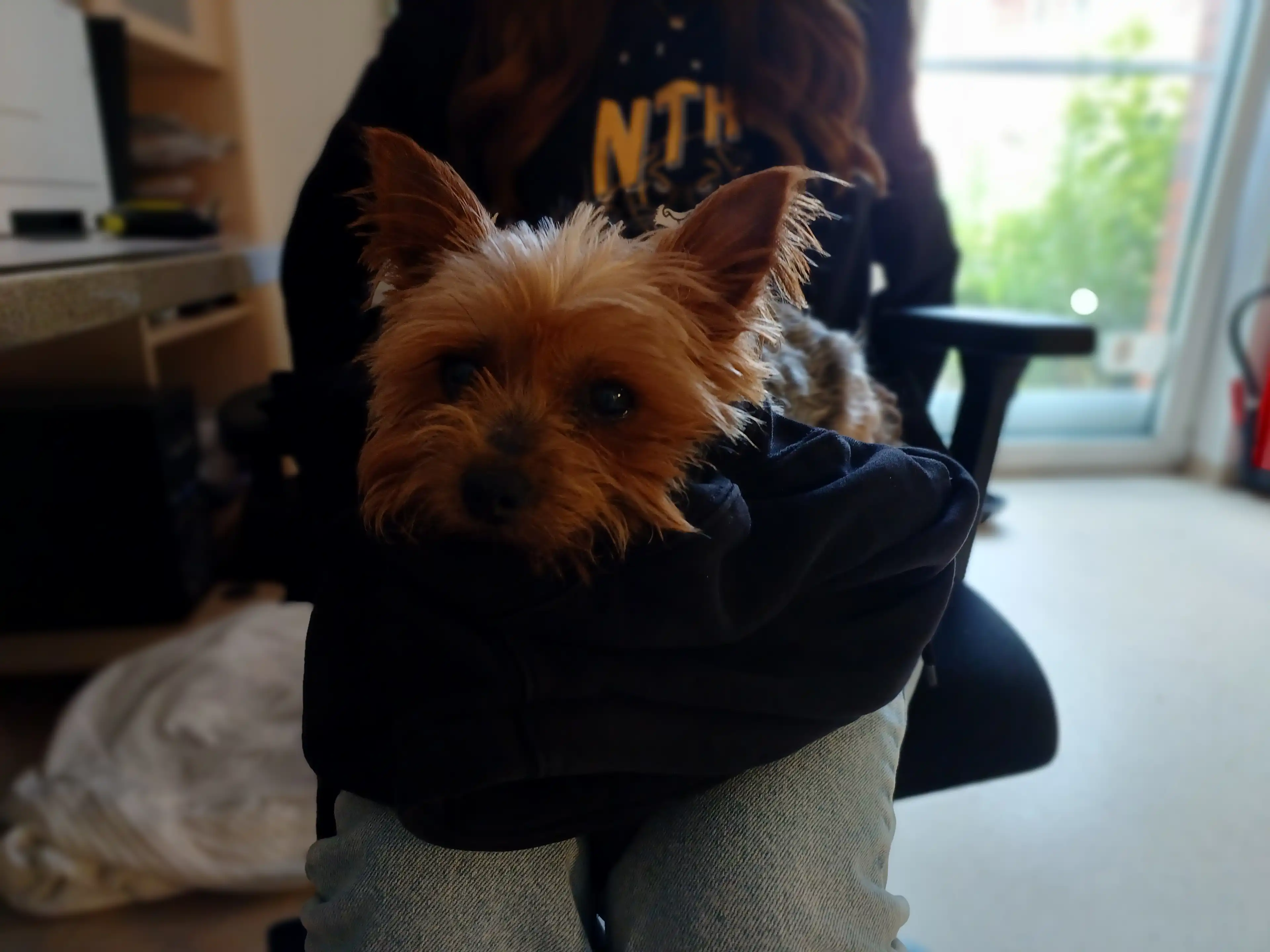image-8