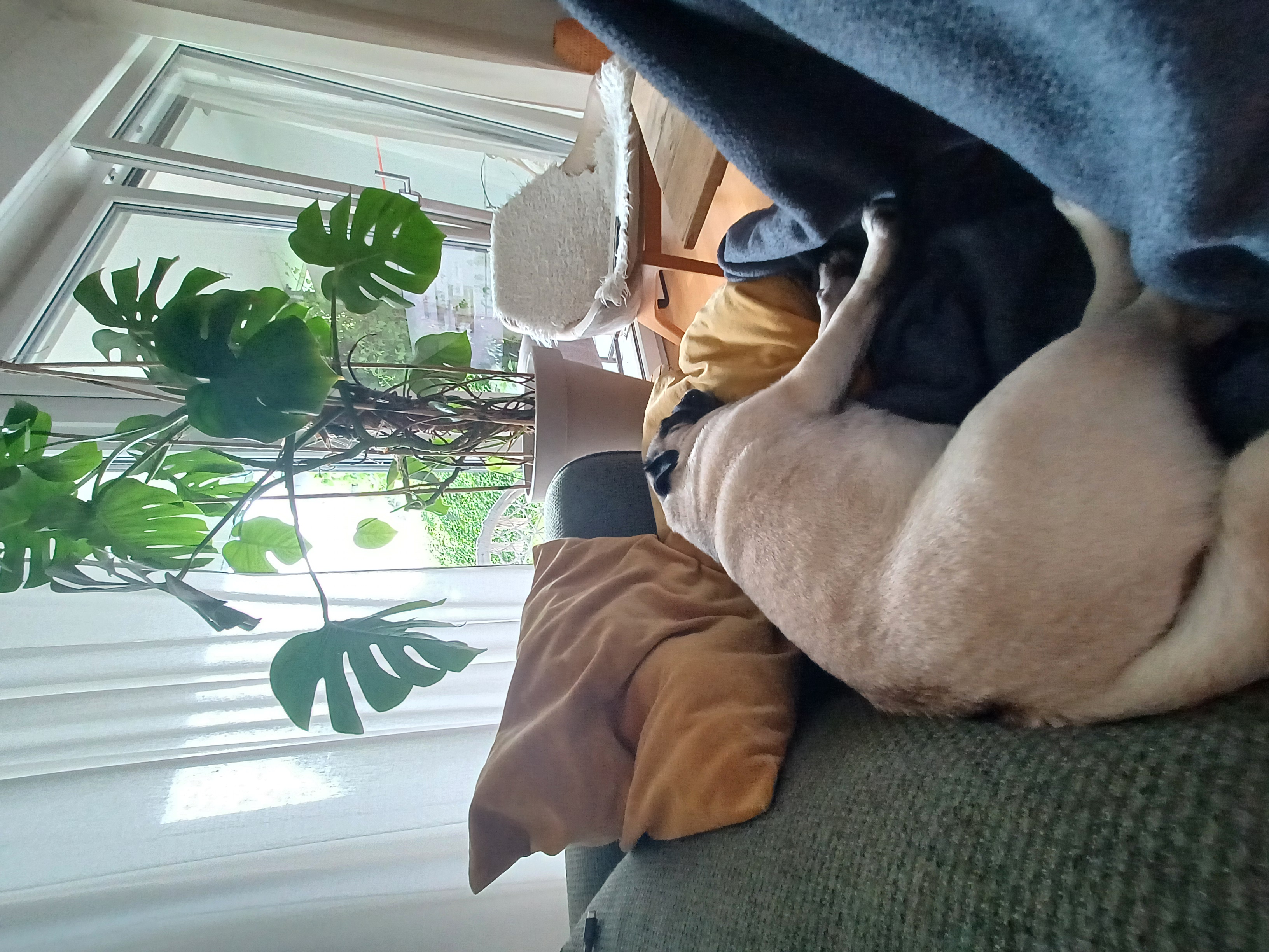 image-6
