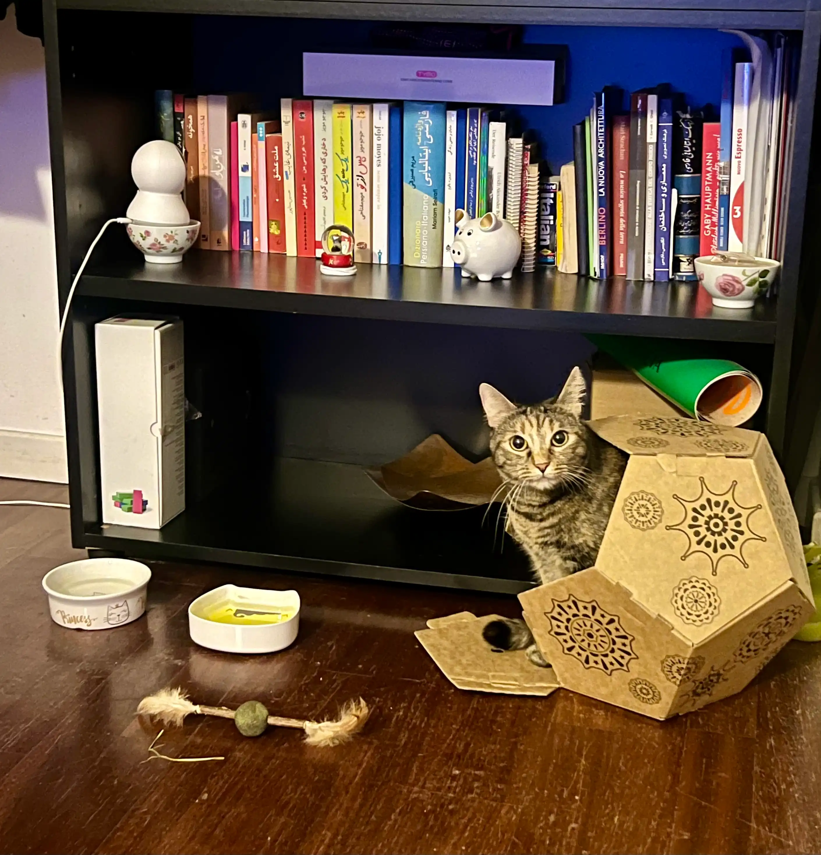 image-6