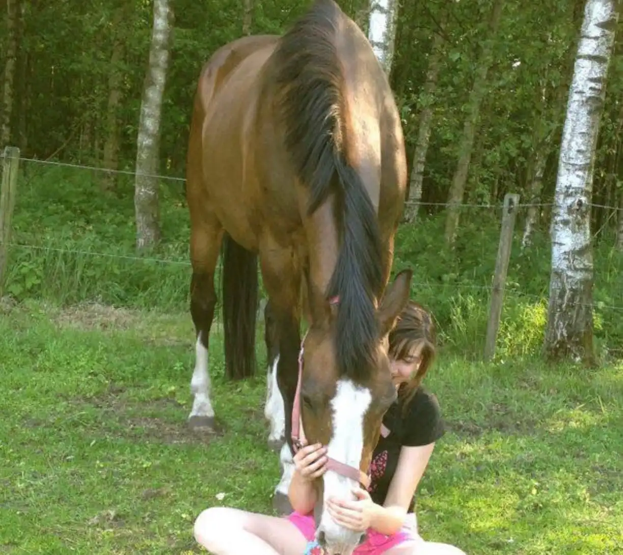 image-5
