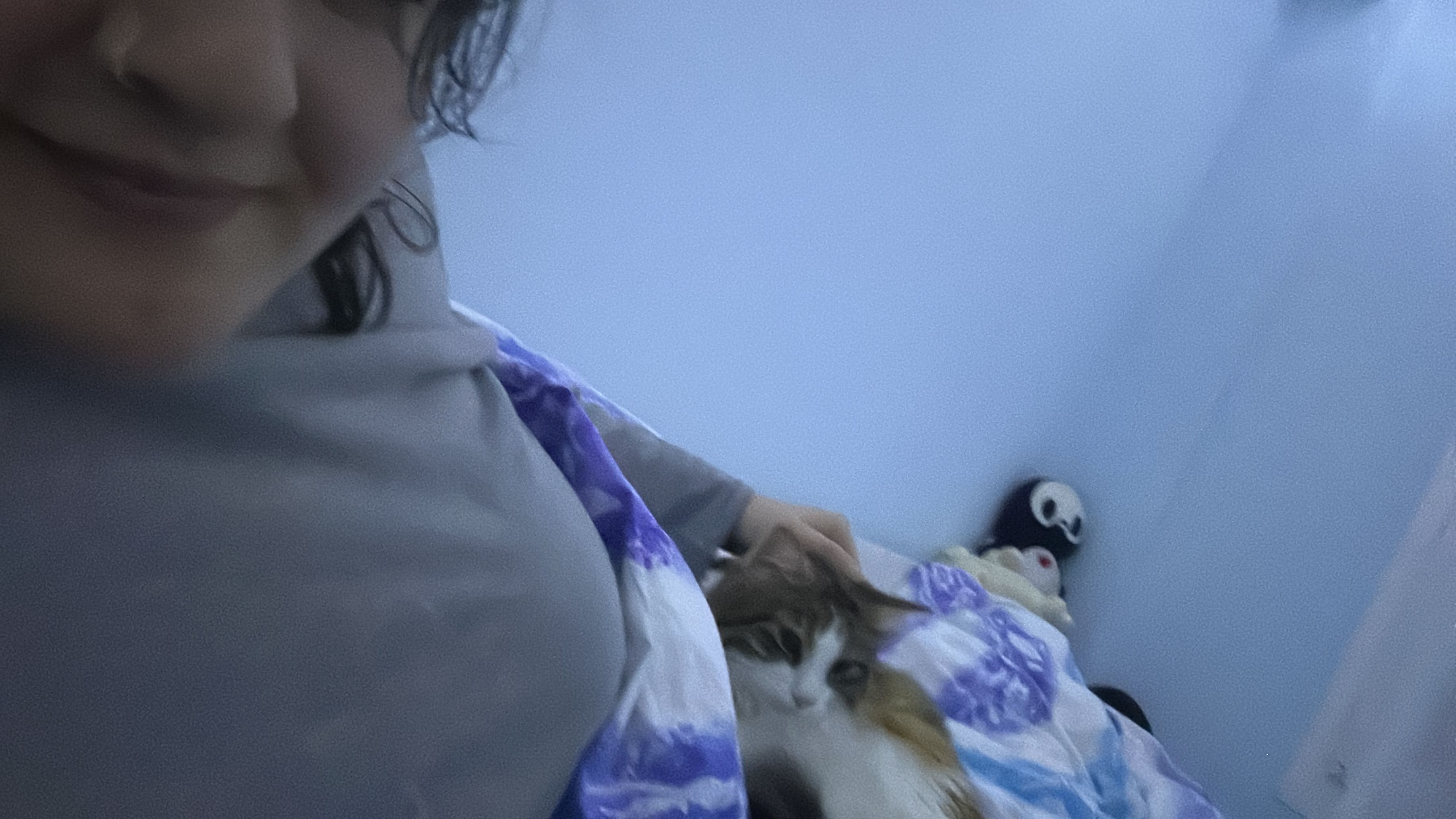 image-6