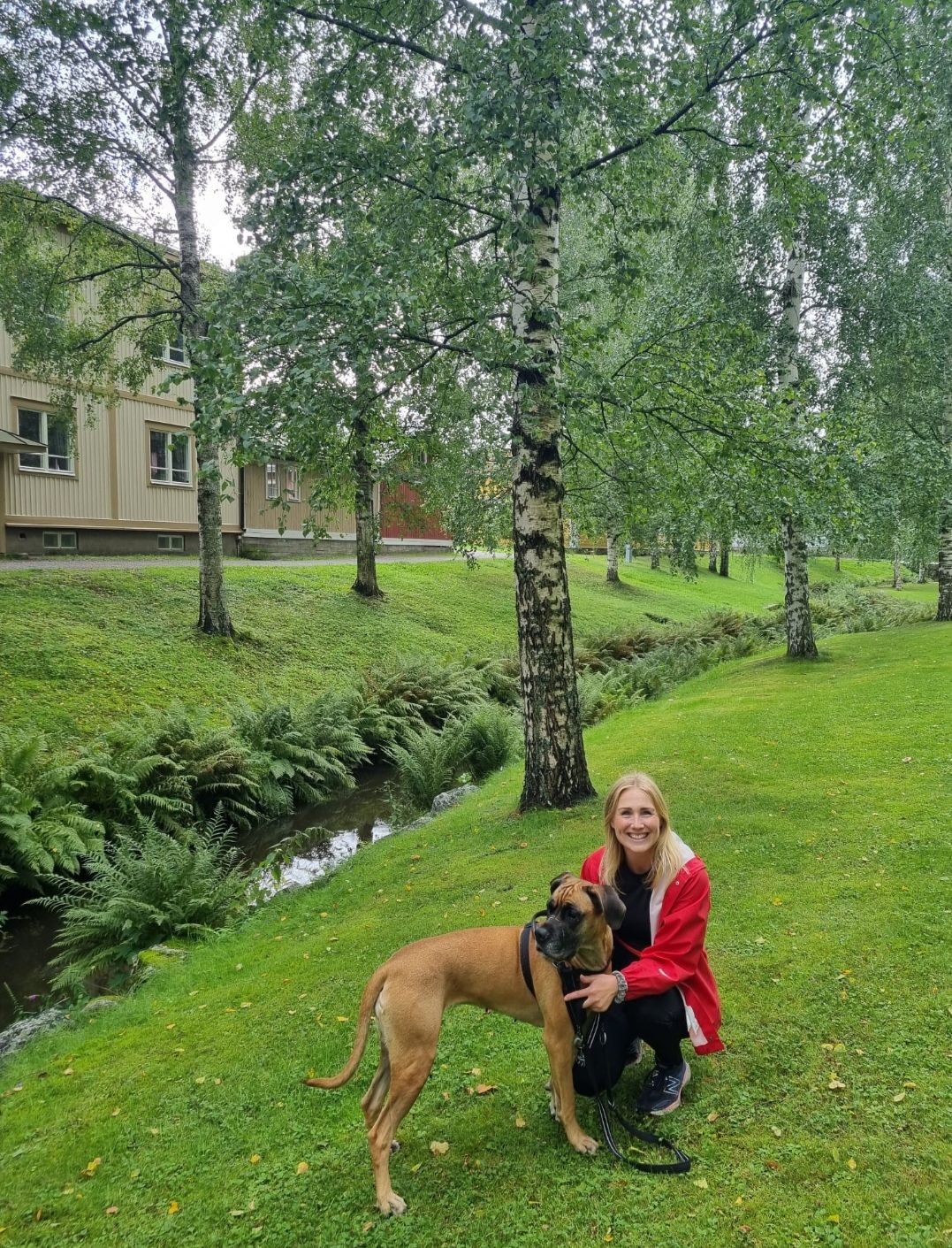 image-5