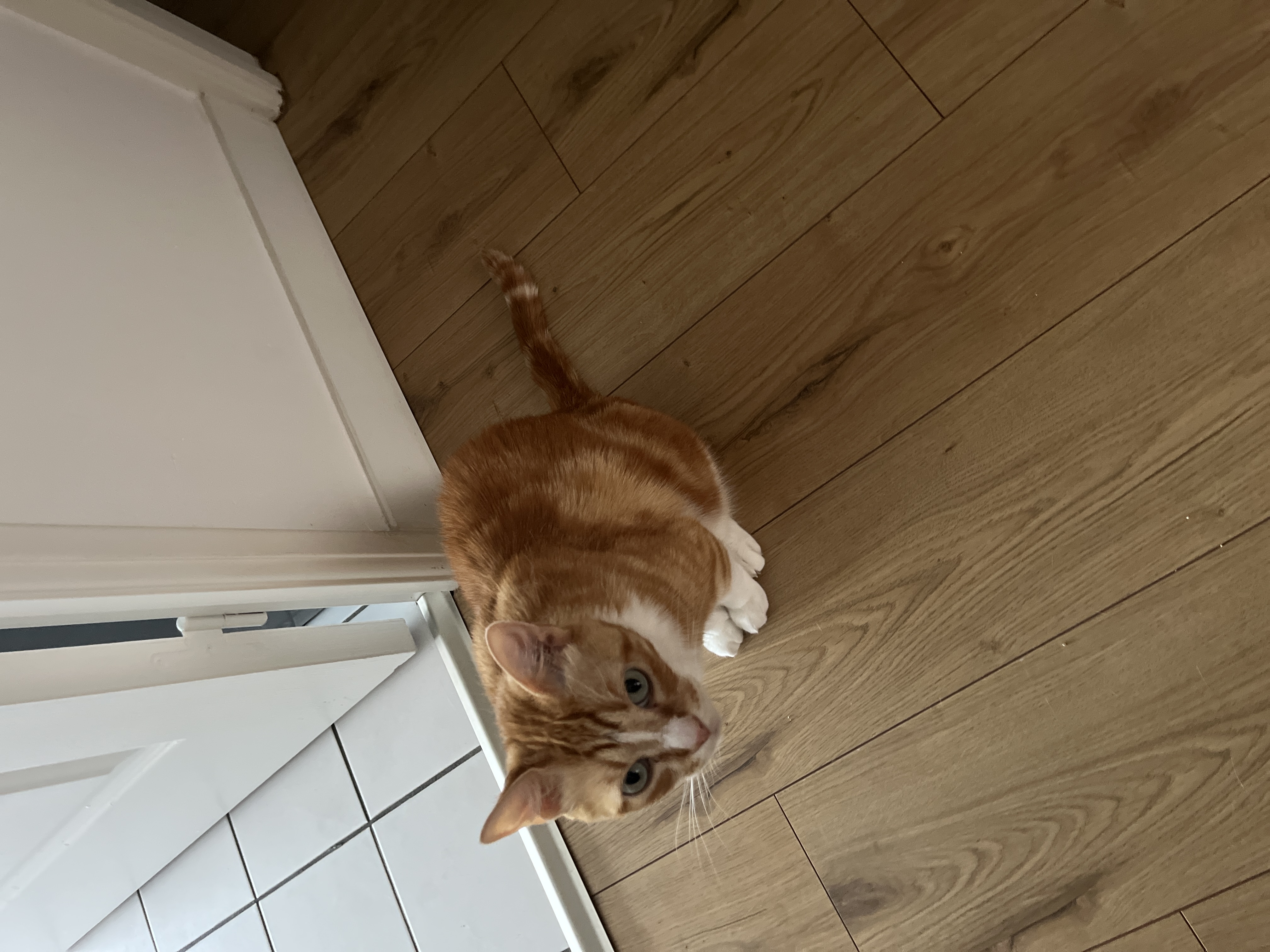 image-13