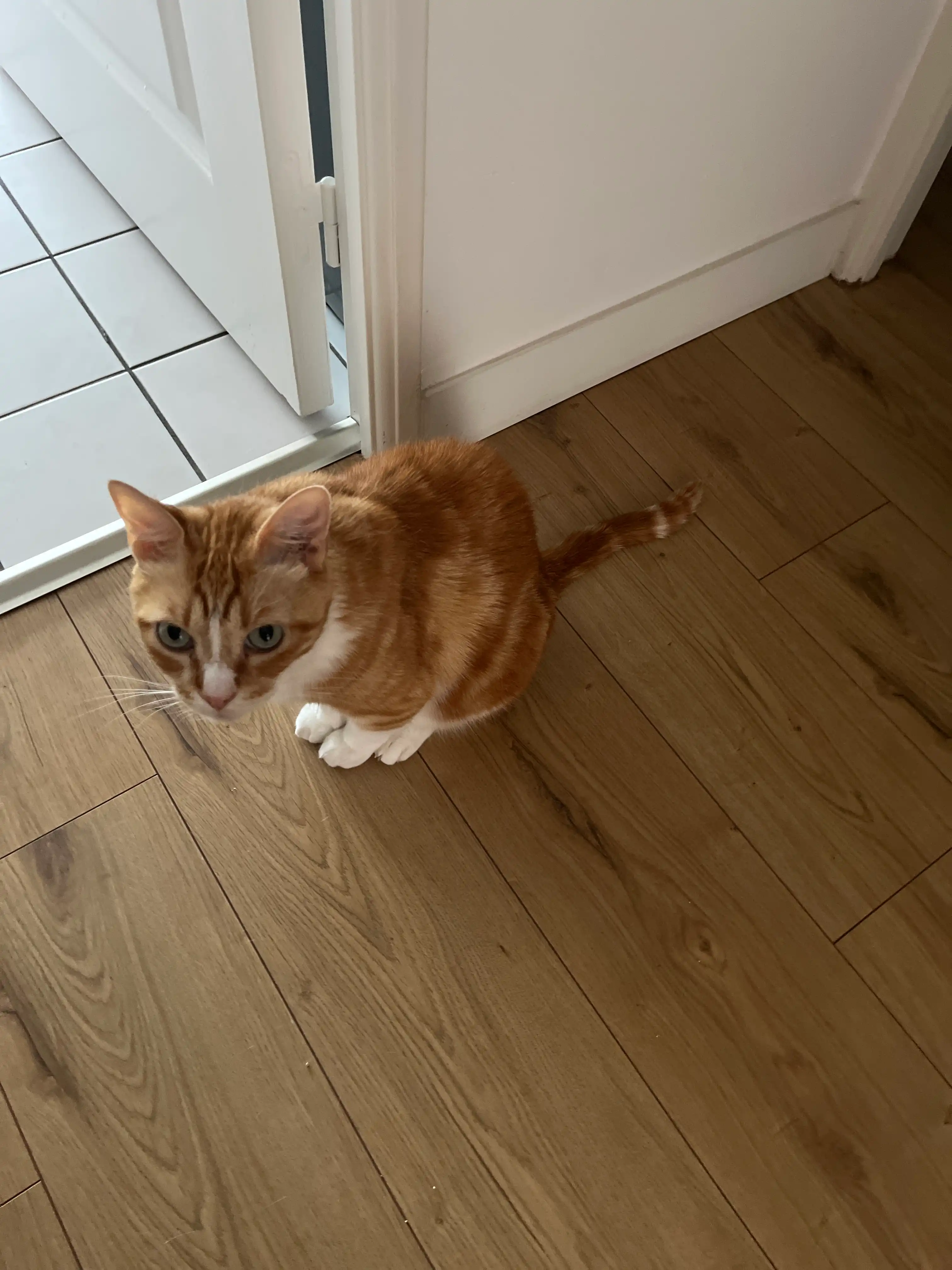 image-13