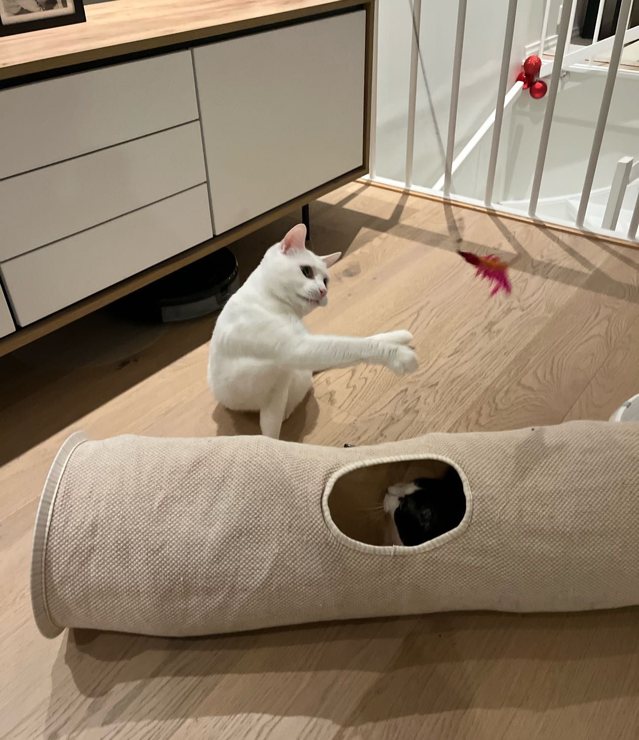 image-13