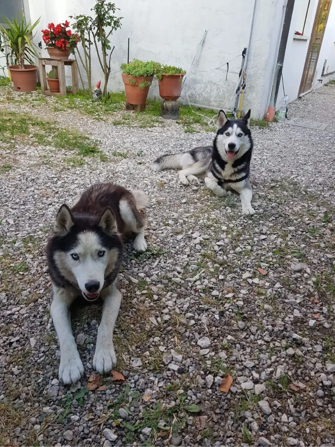 image-8