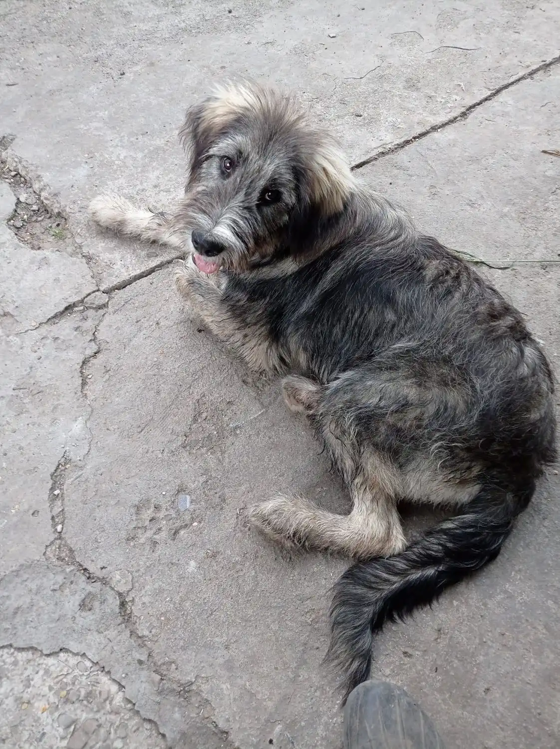 image-7
