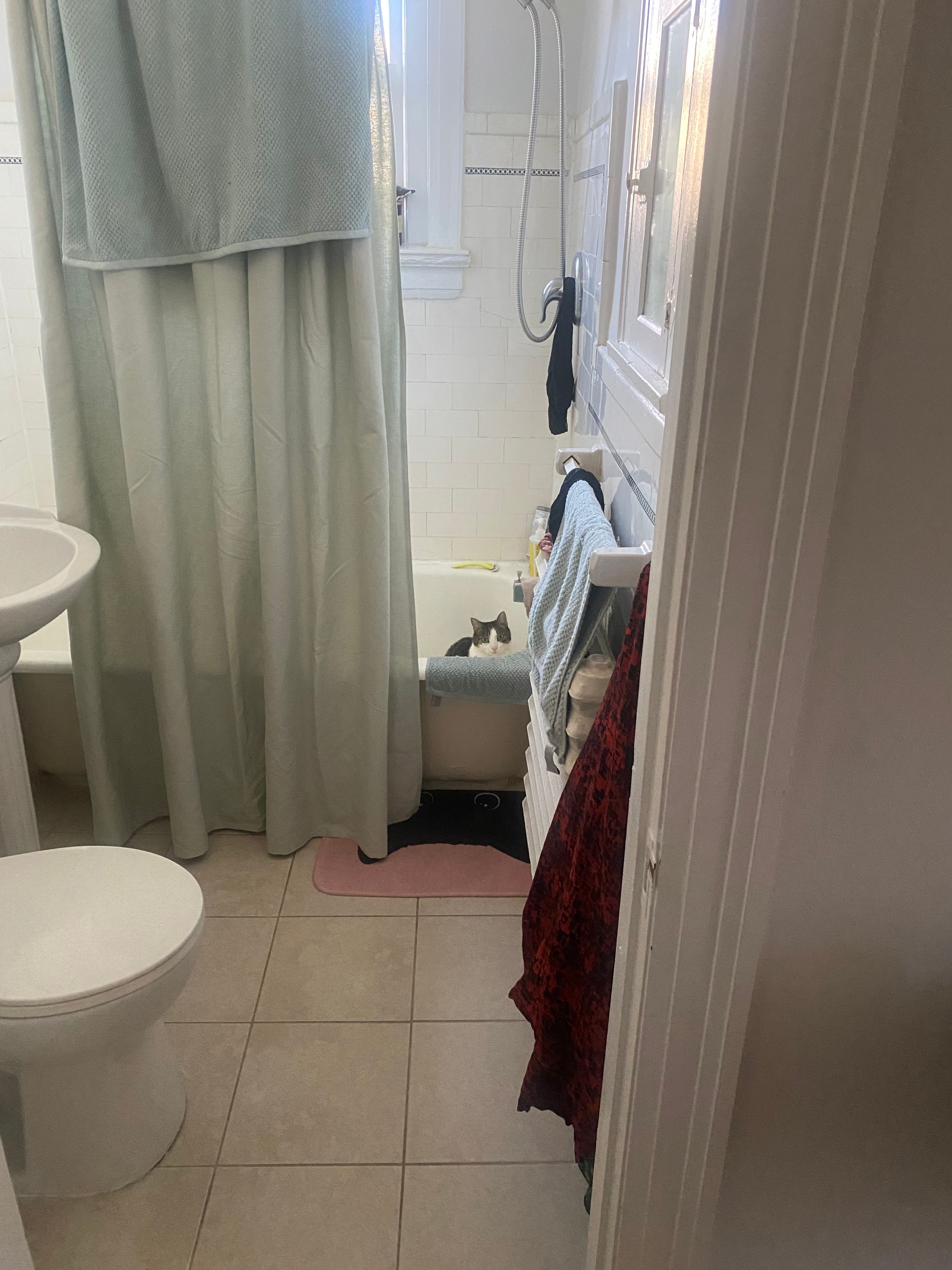 image-12