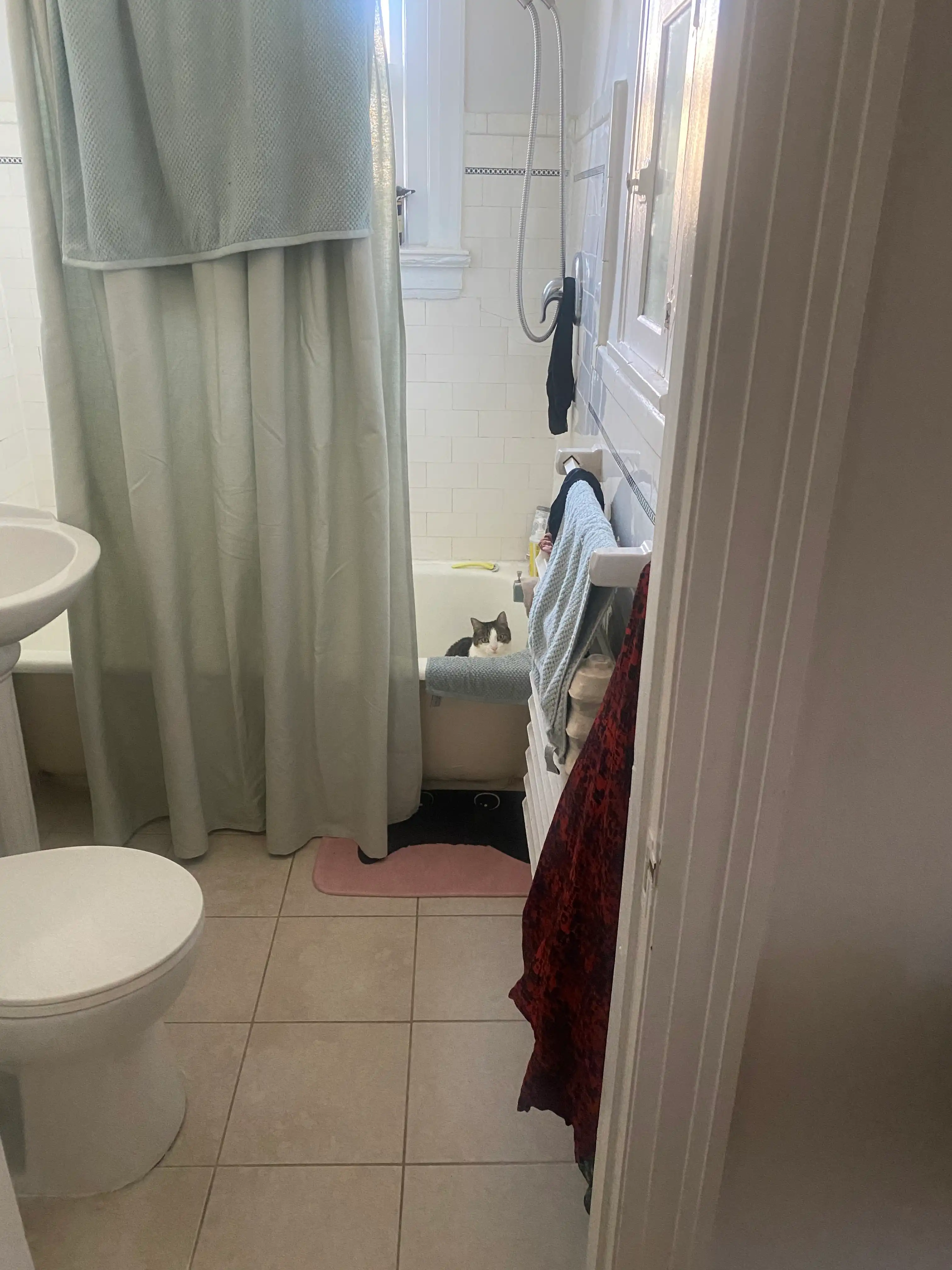 image-12