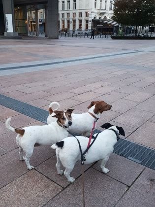image-7