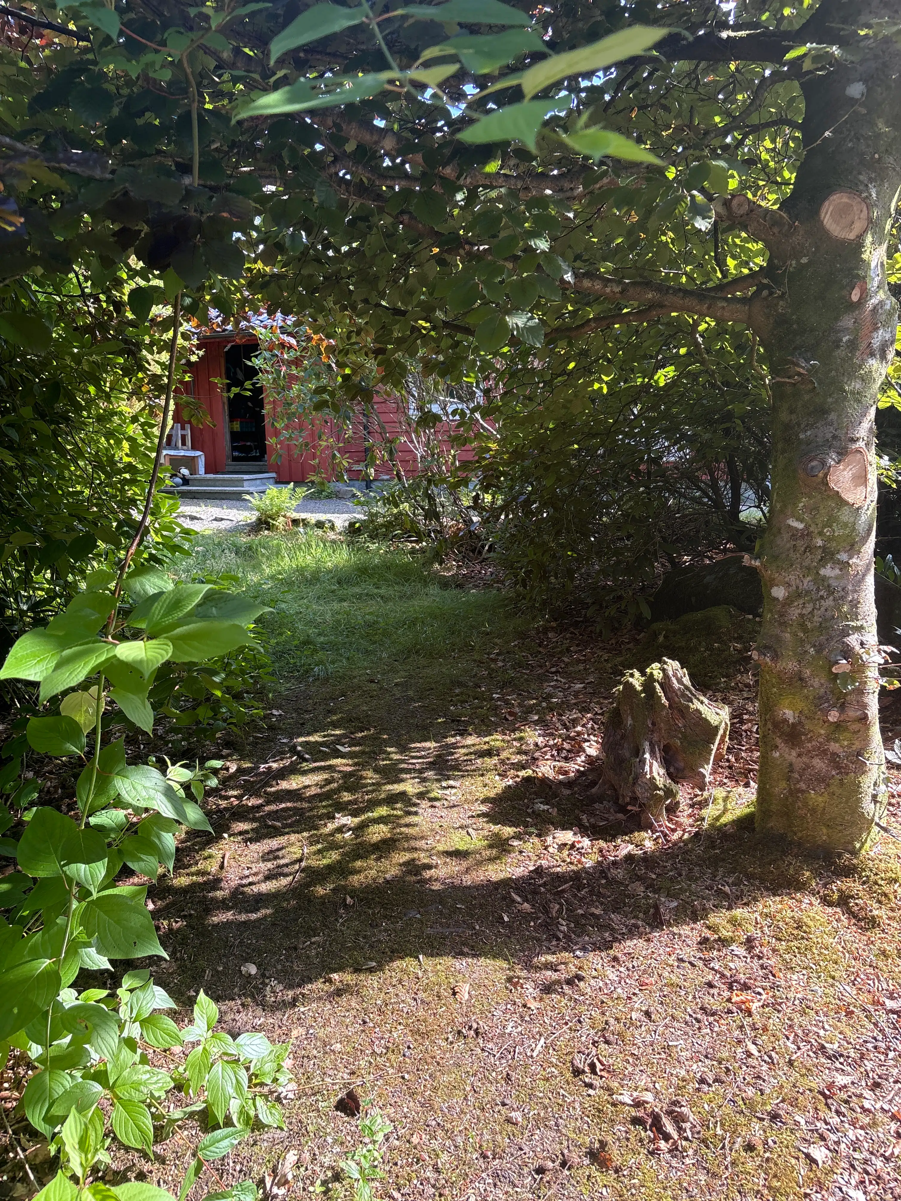 image-7