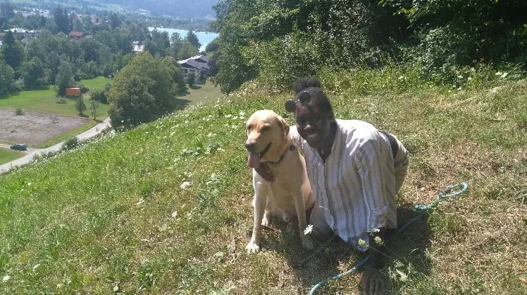 image-4