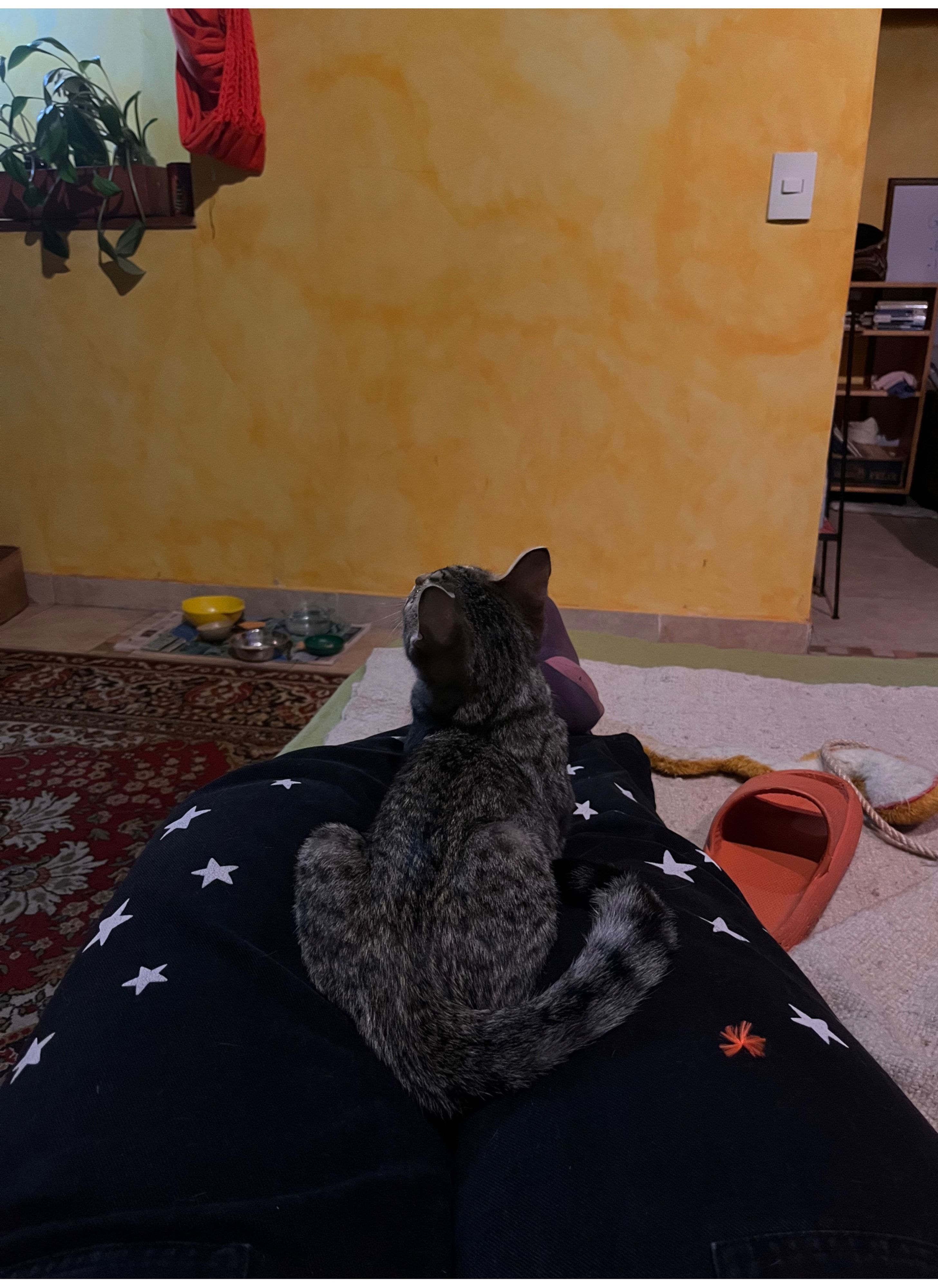 image-3