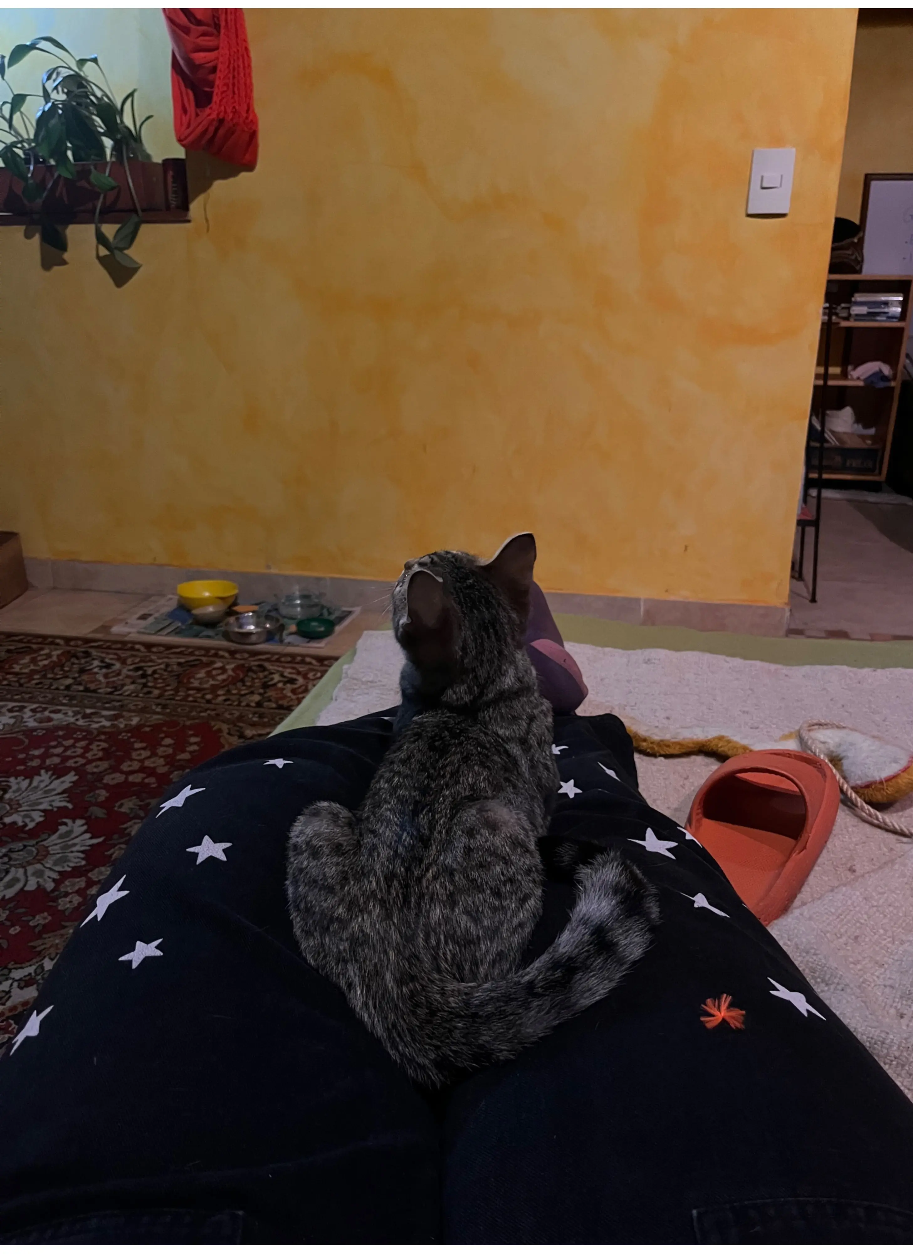 image-3