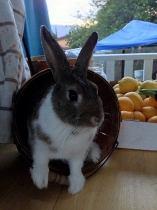 image-9