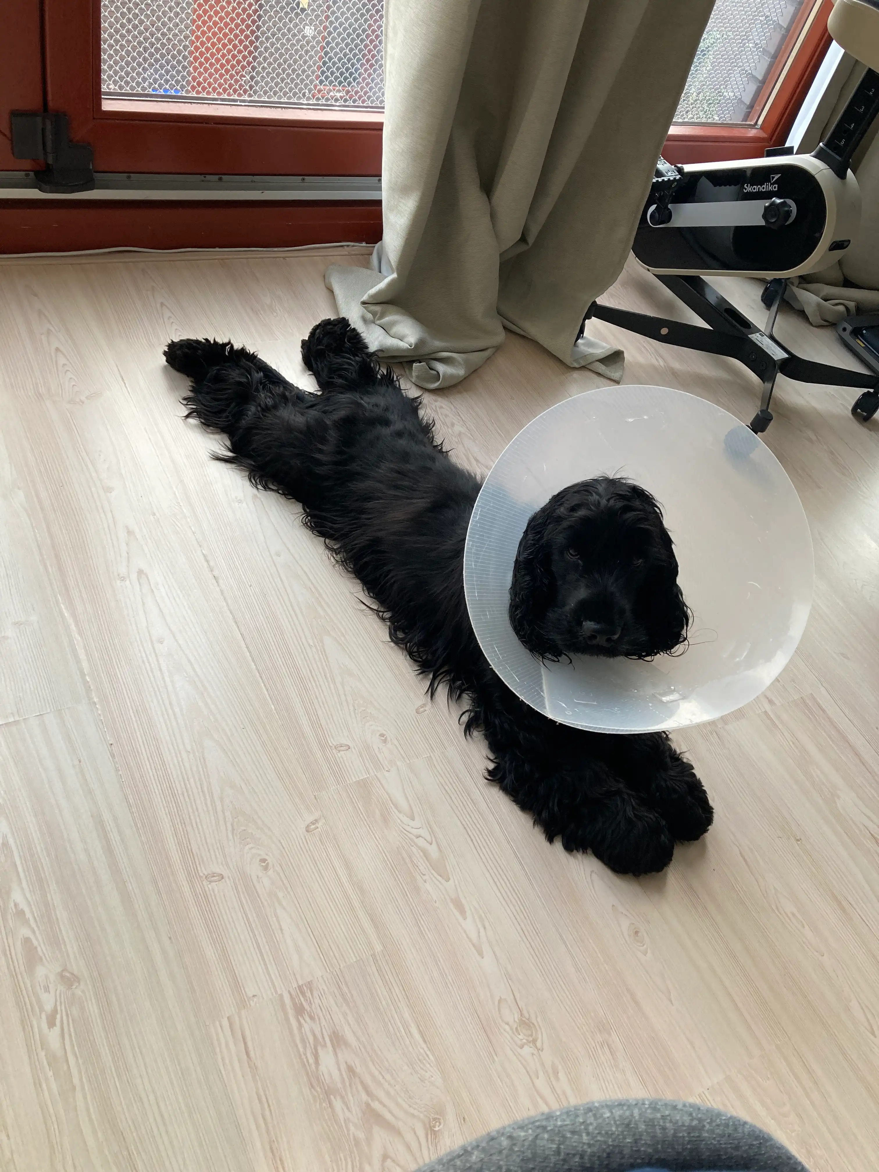 image-18