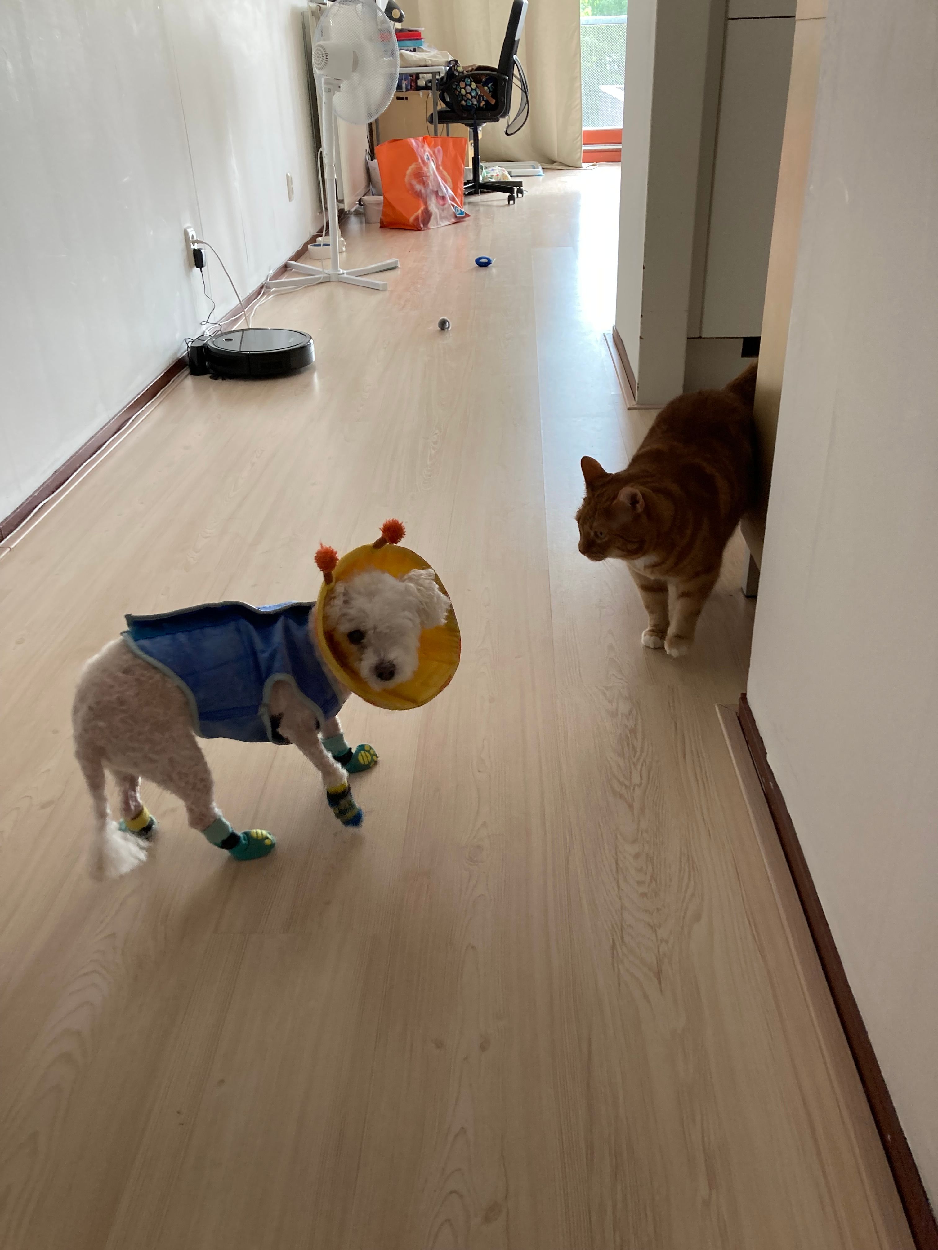 image-49