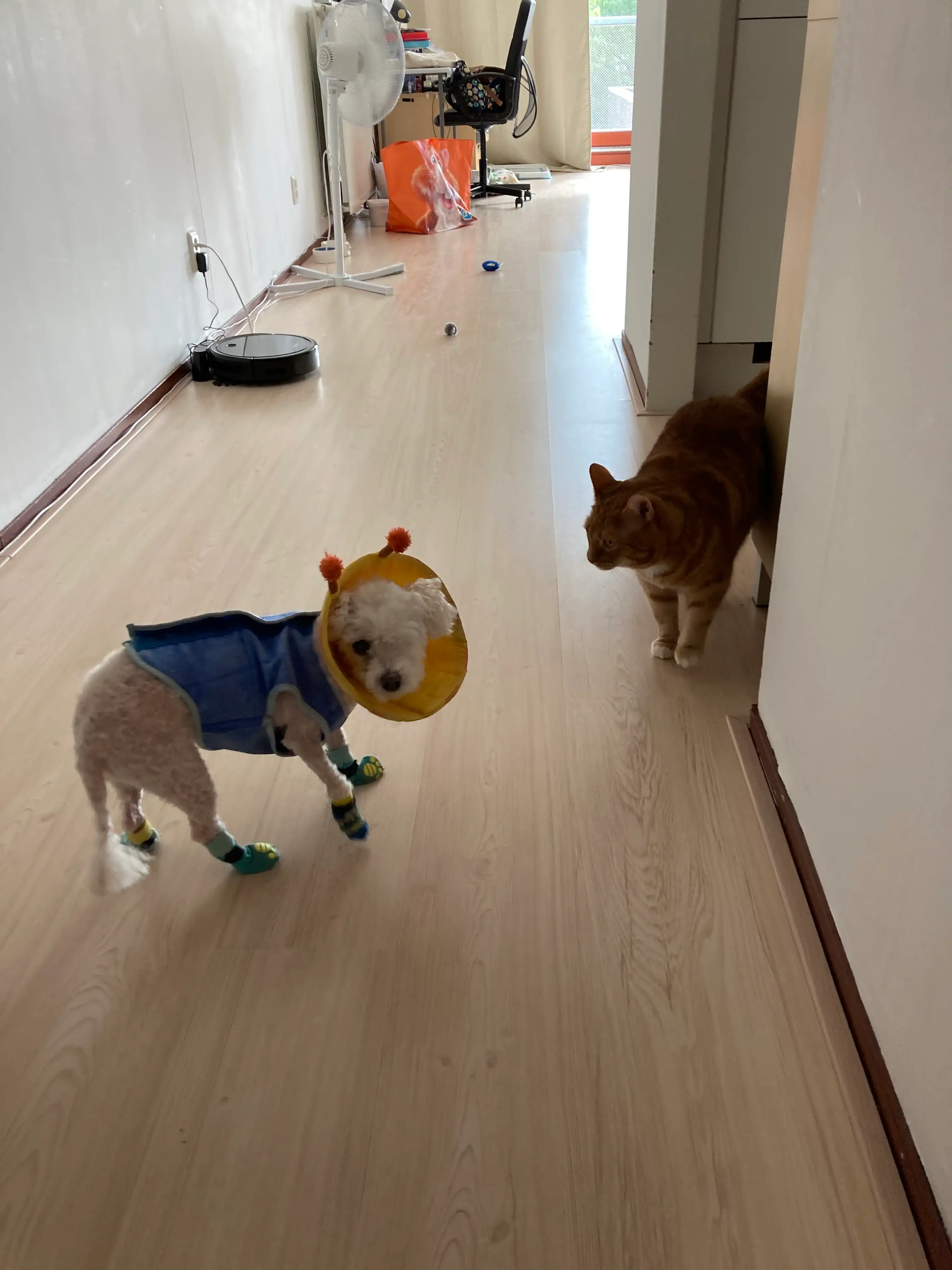 image-49