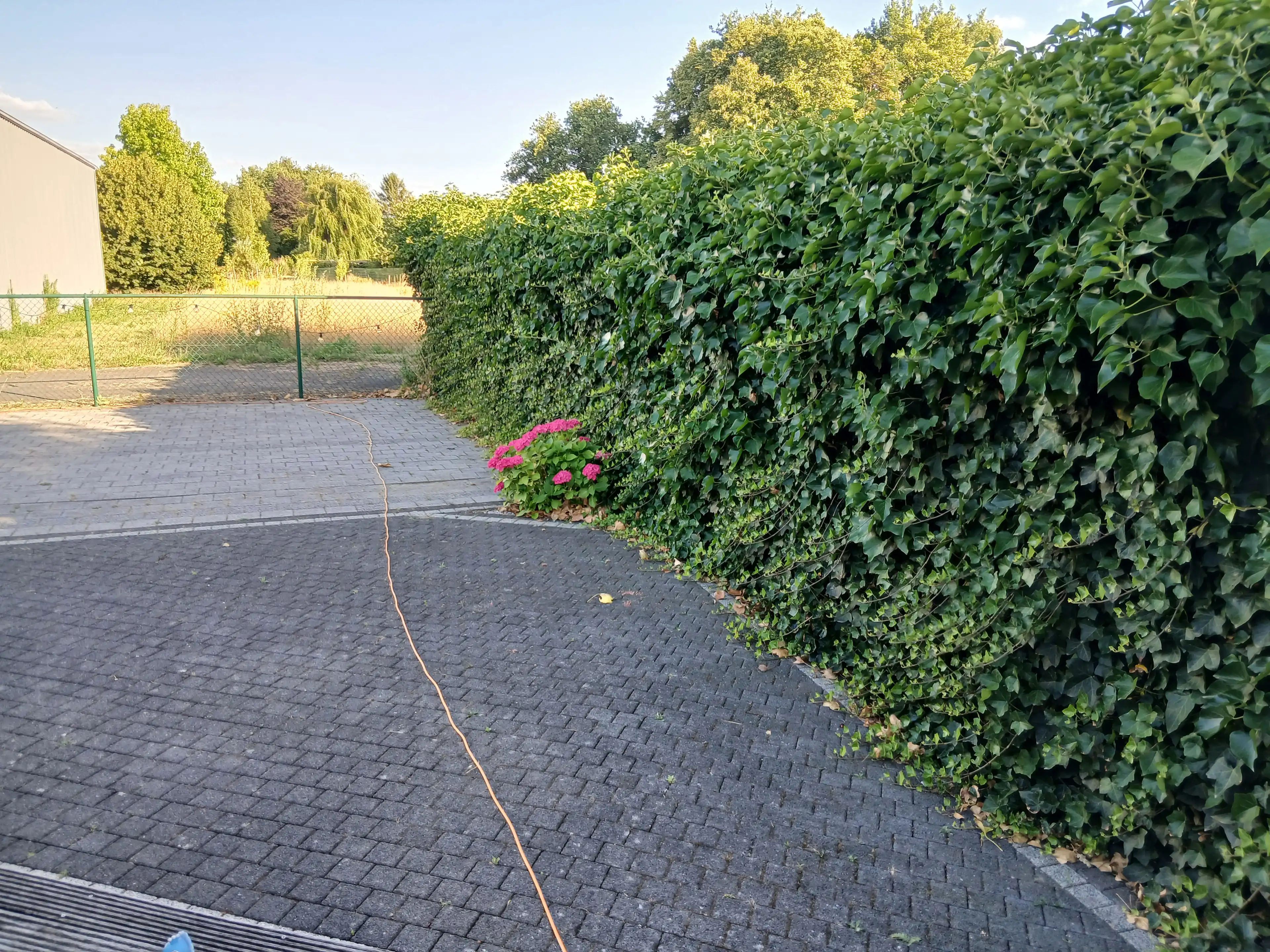 image-15
