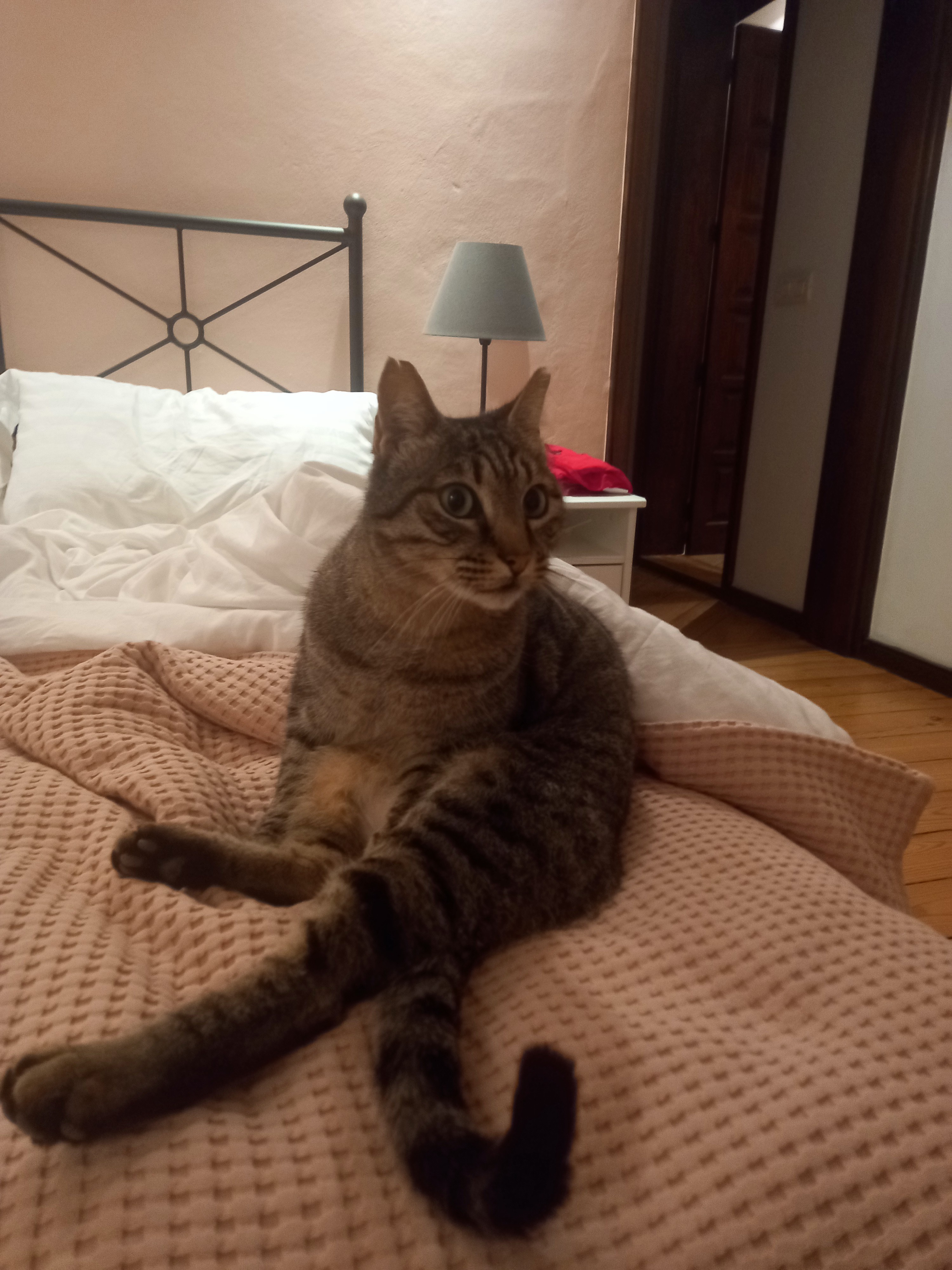 image-6