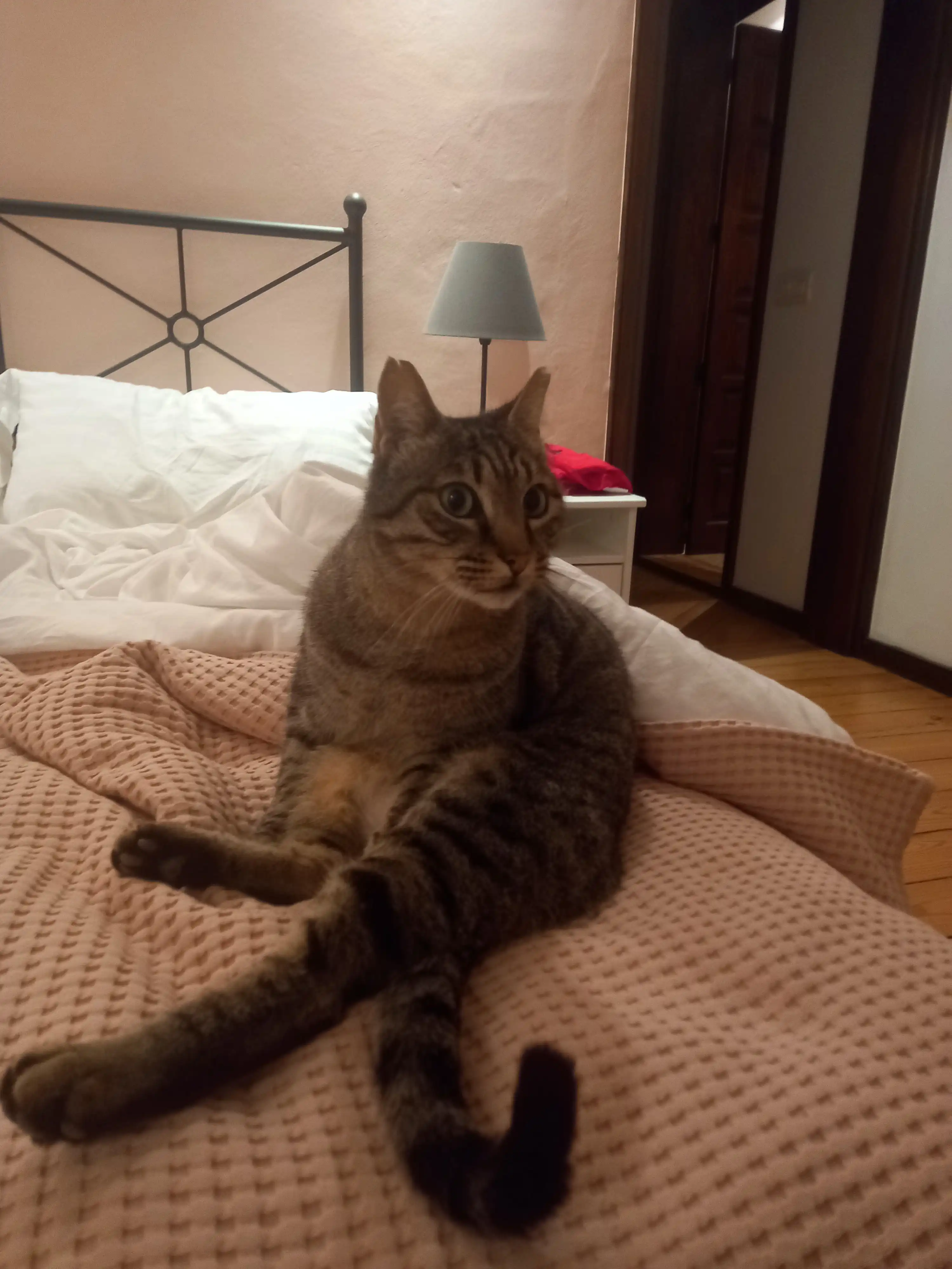 image-6