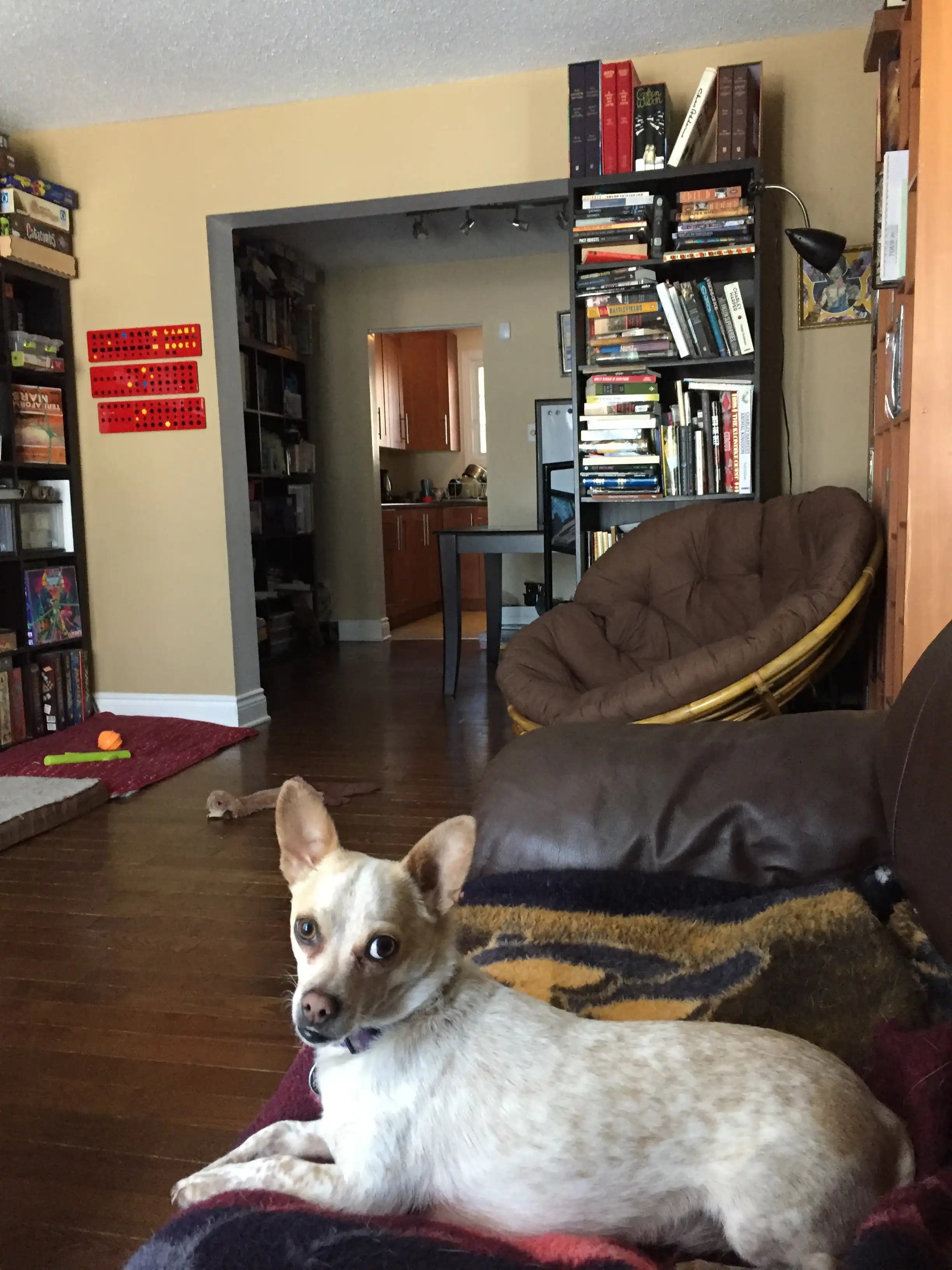 image-22