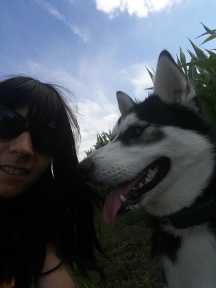 image-7