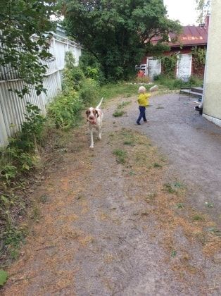 image-6
