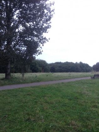 image-4
