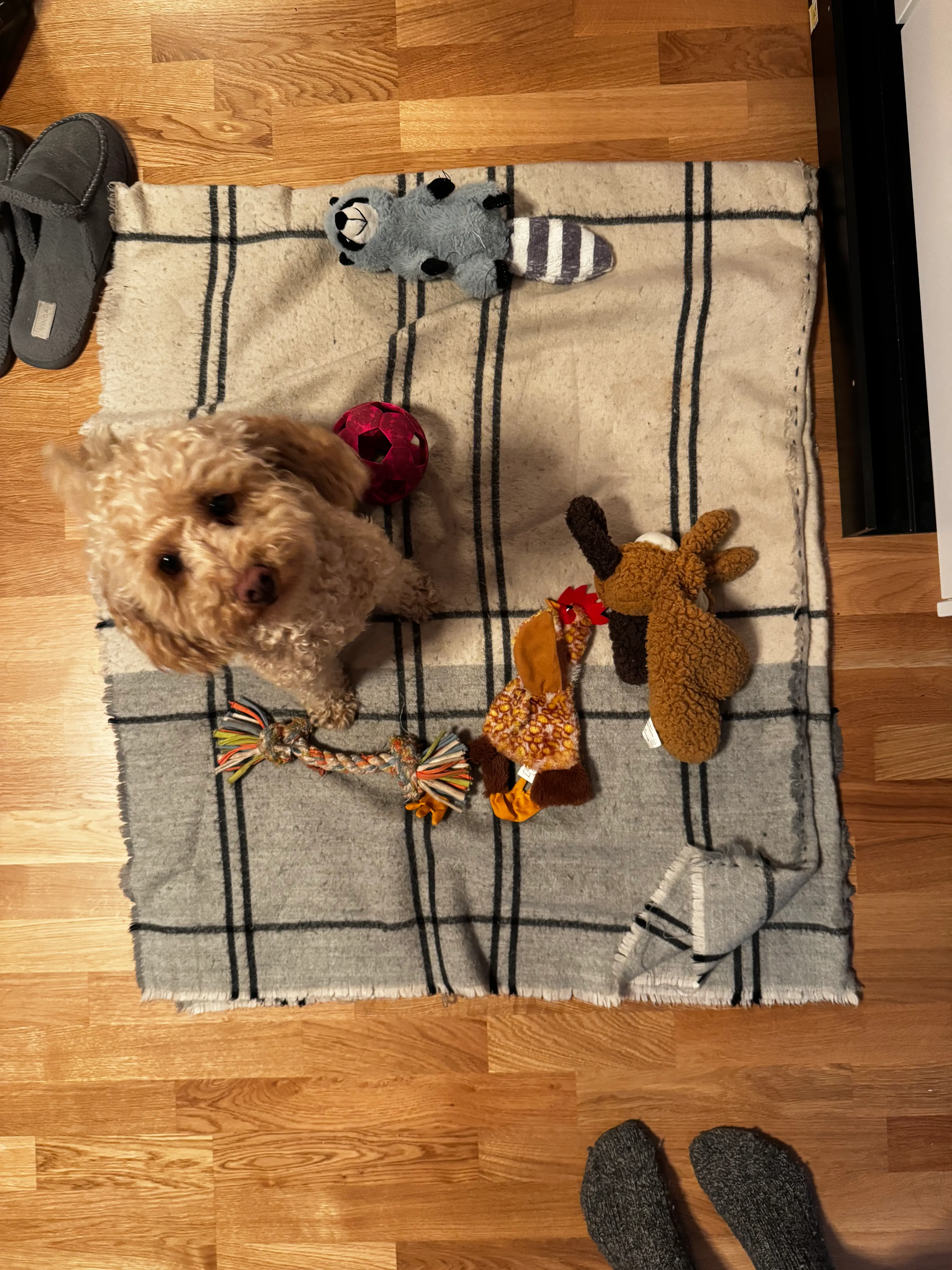 image-4