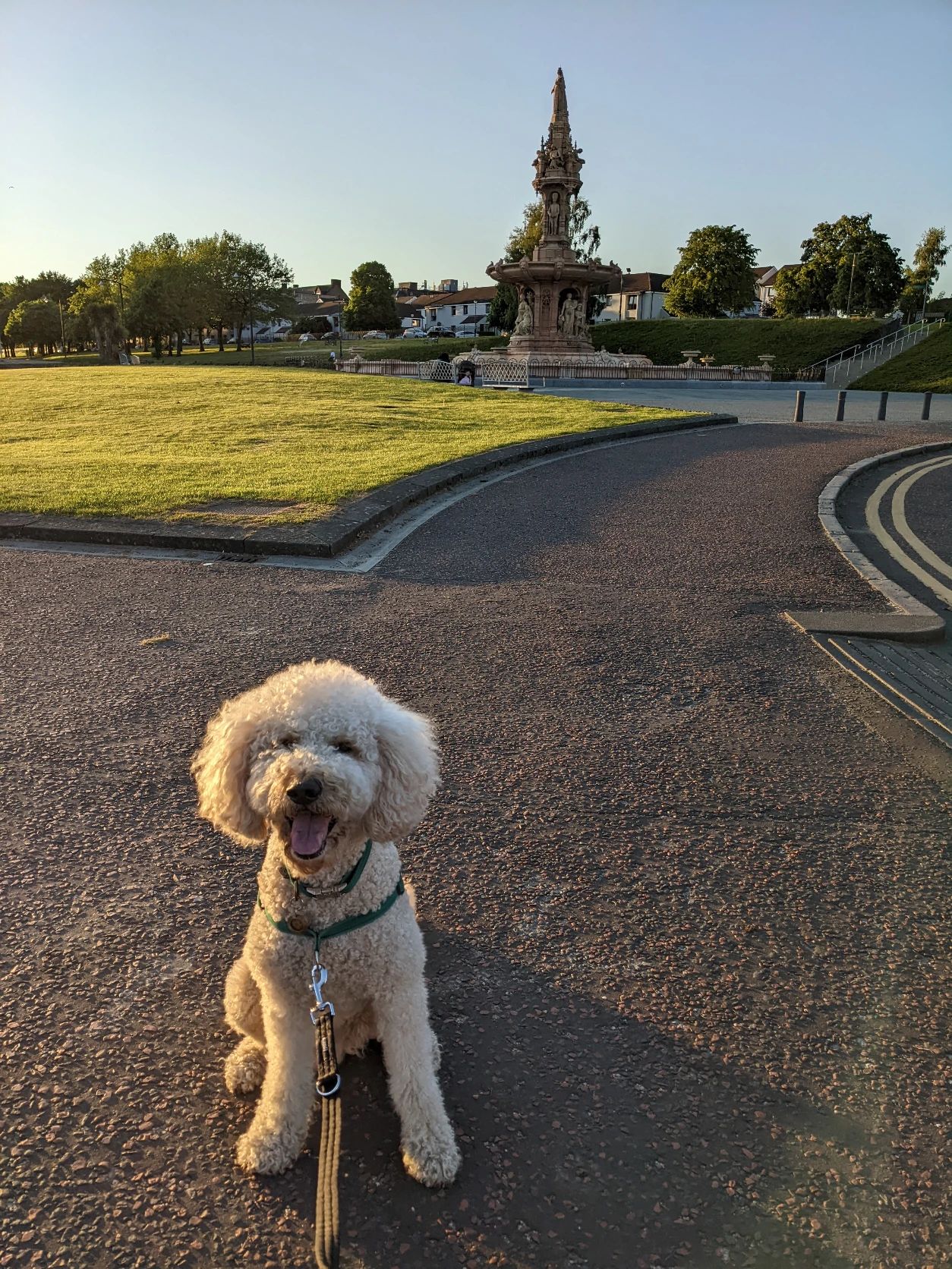 image-6