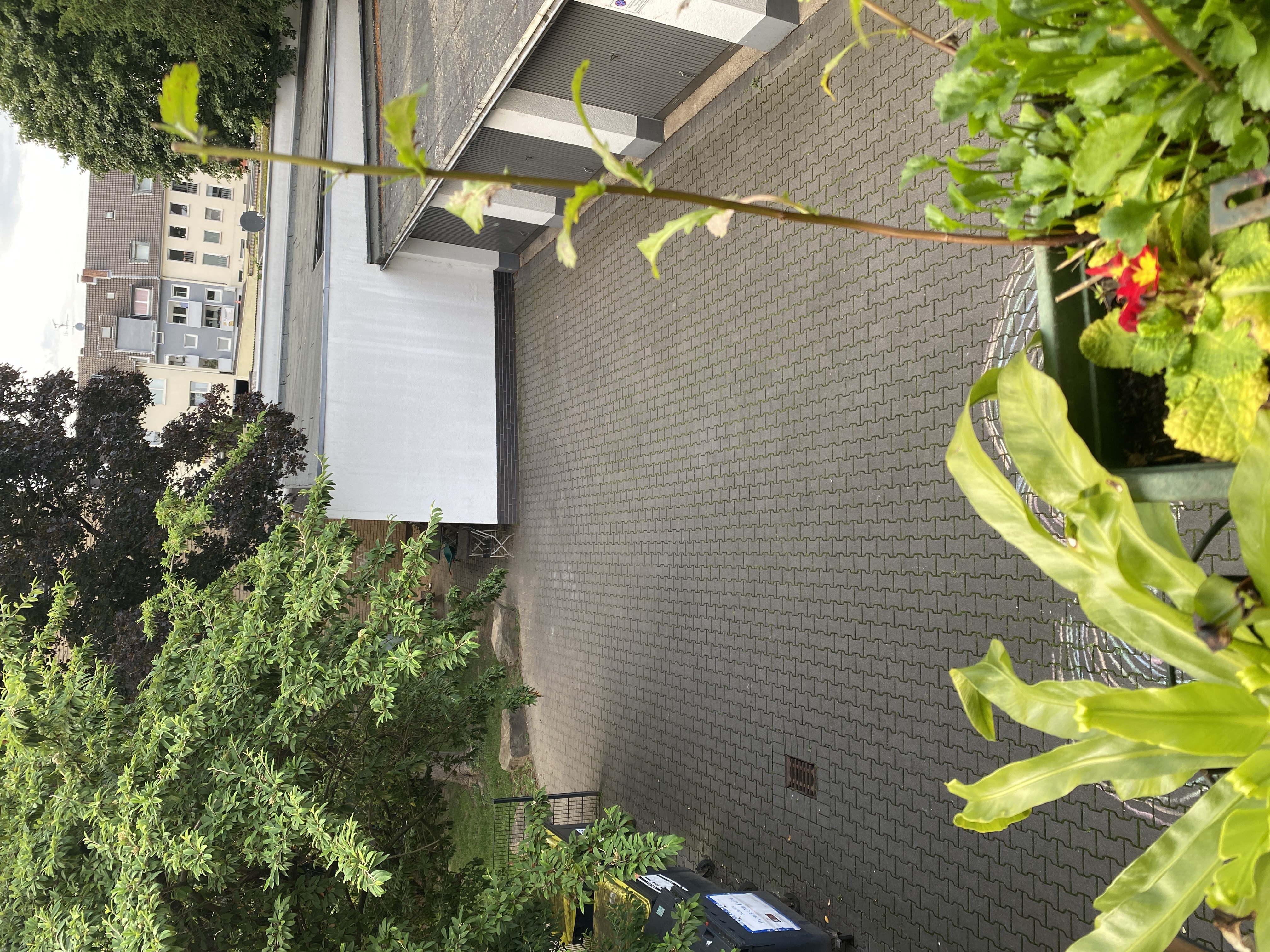 image-8
